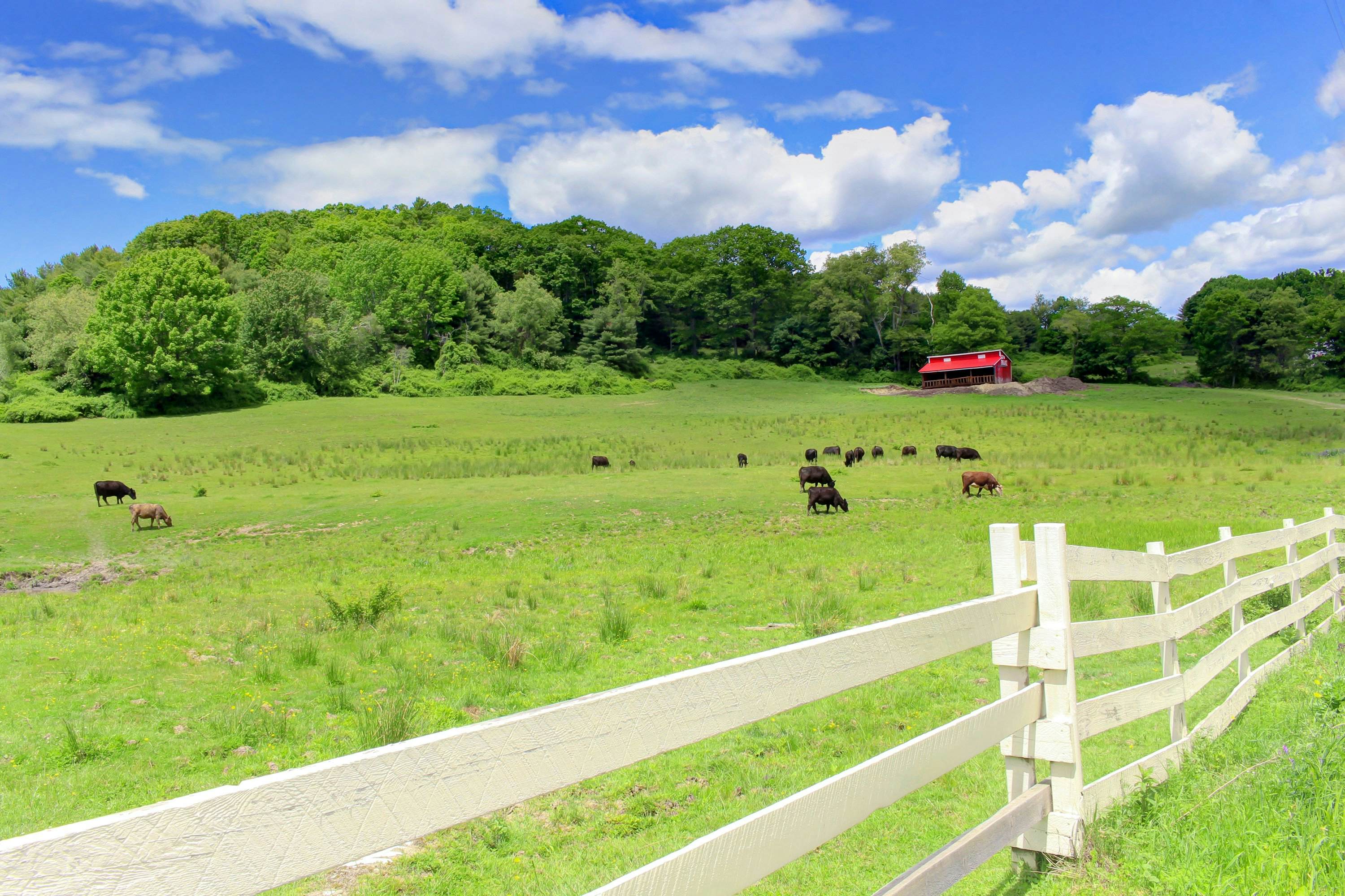 Damariscotta Lakefront Retreat