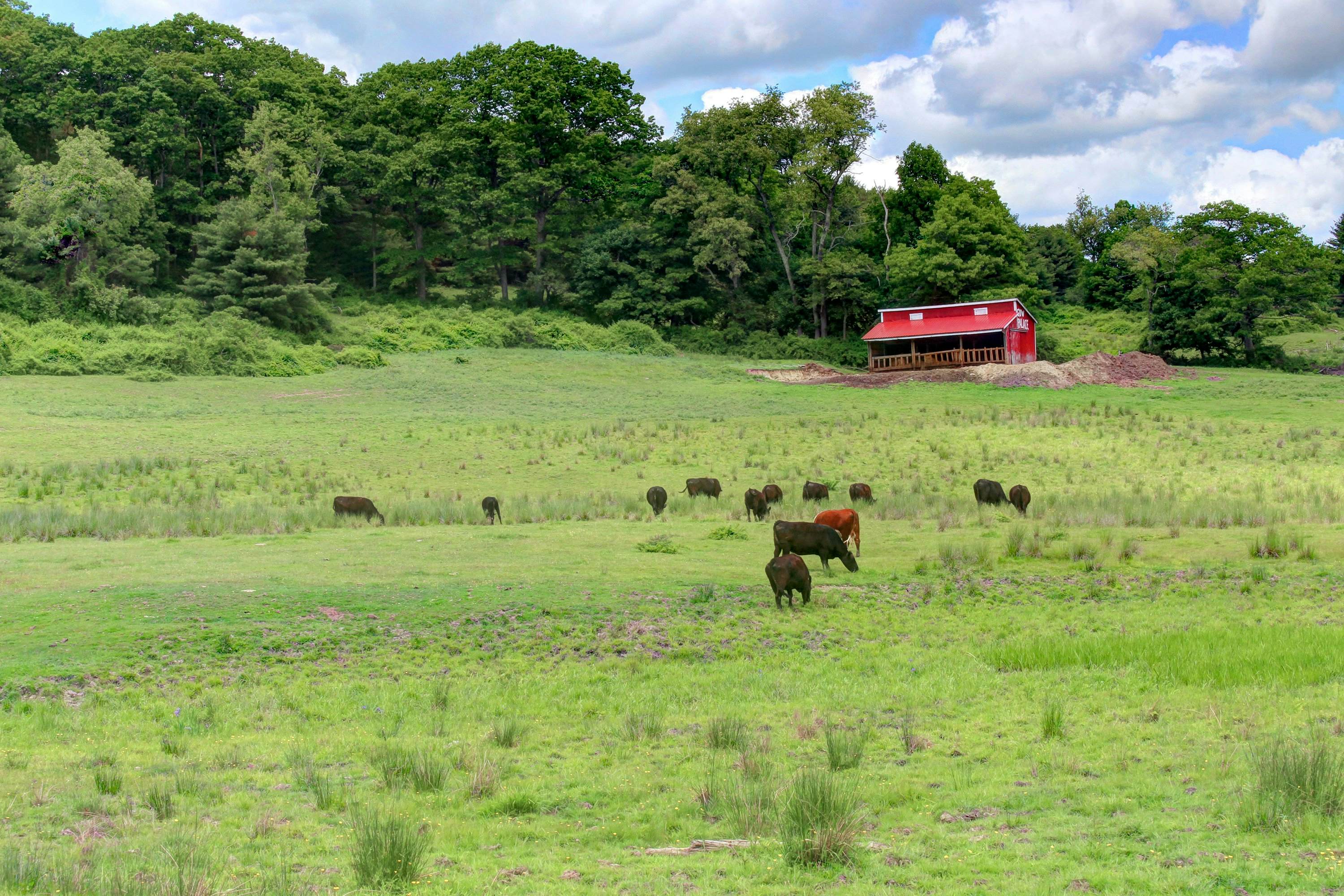 Damariscotta Lakefront Retreat
