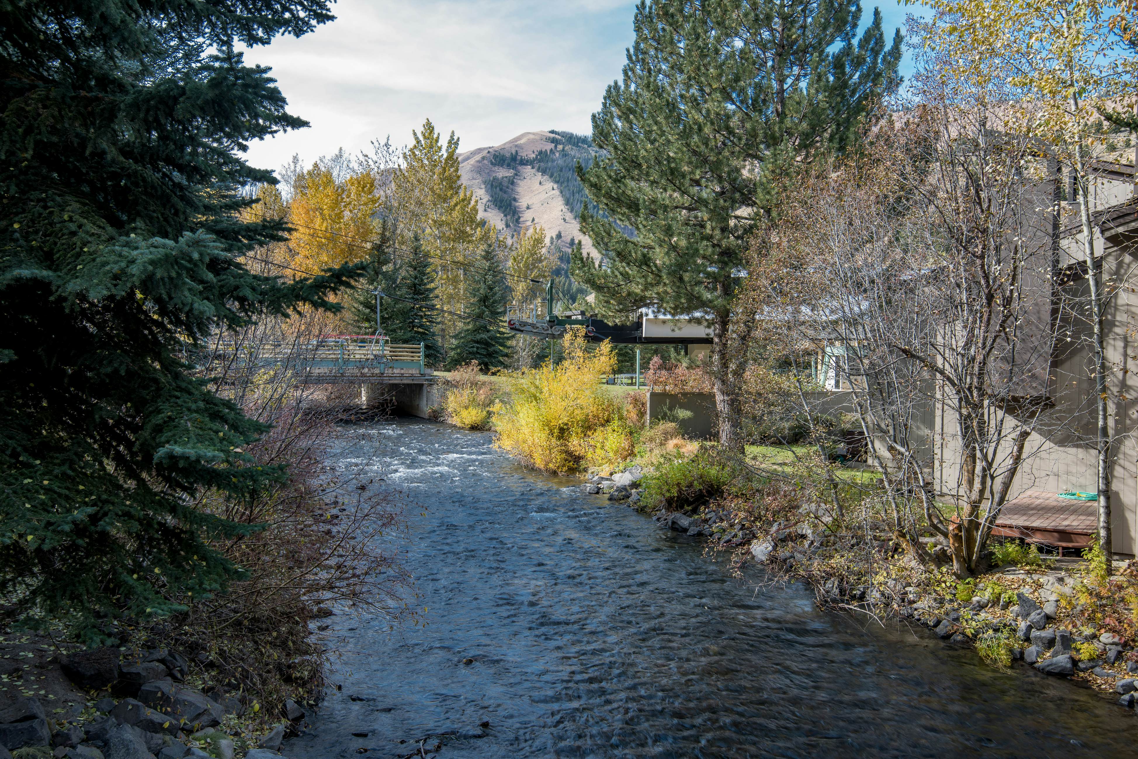 Delightful International Village Getaway