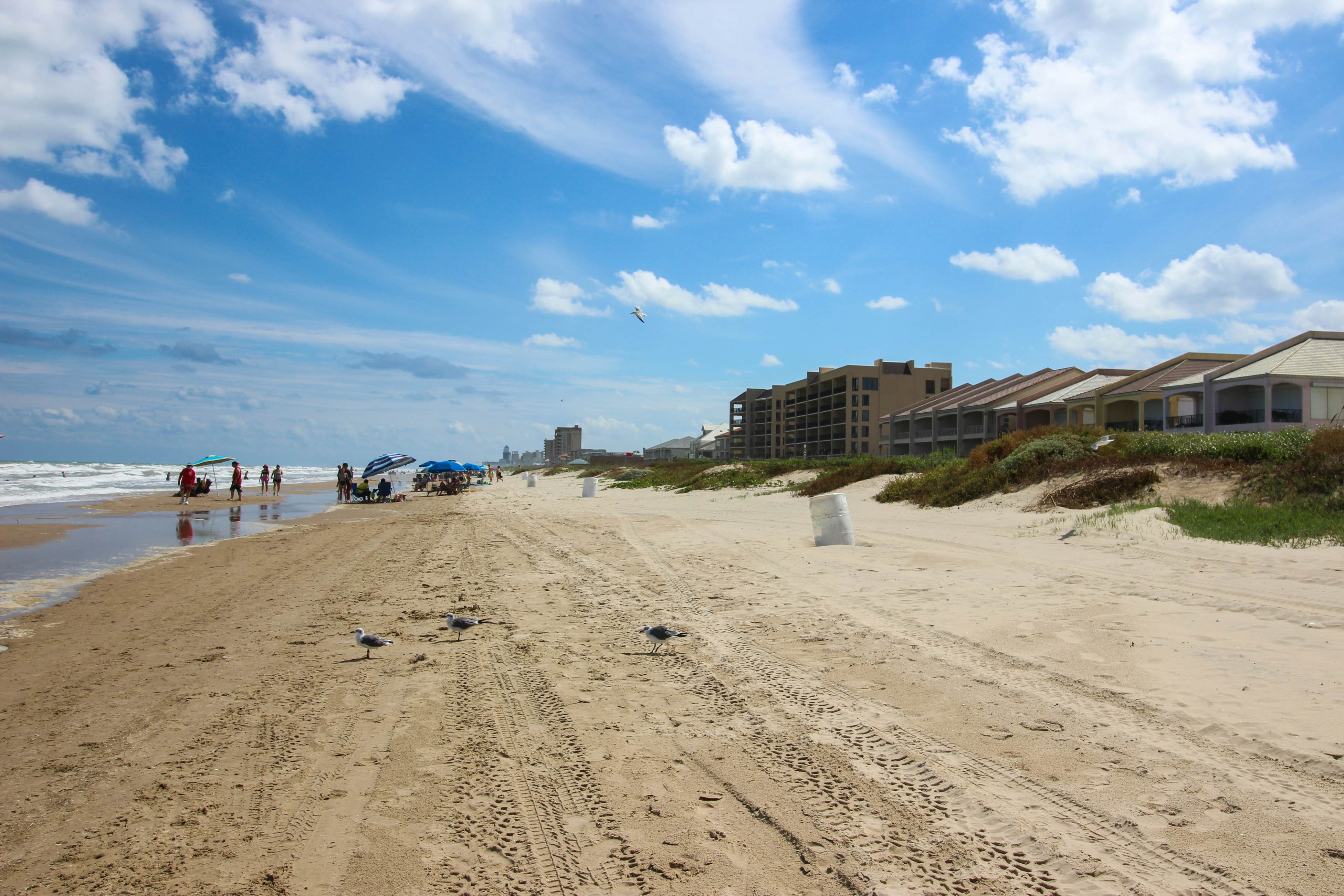 Dolphin Condominiums #5