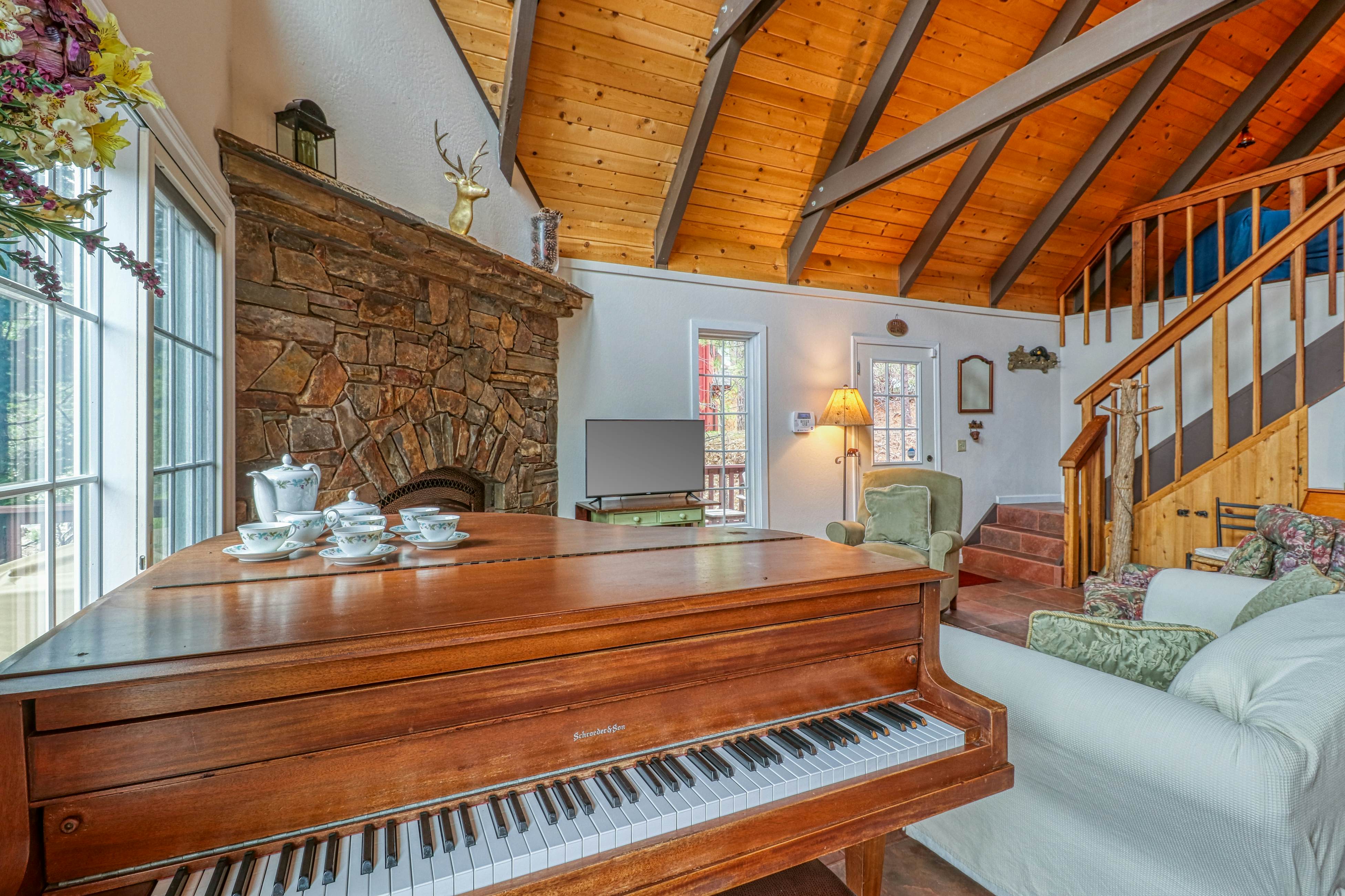 Forest Bears Hideout