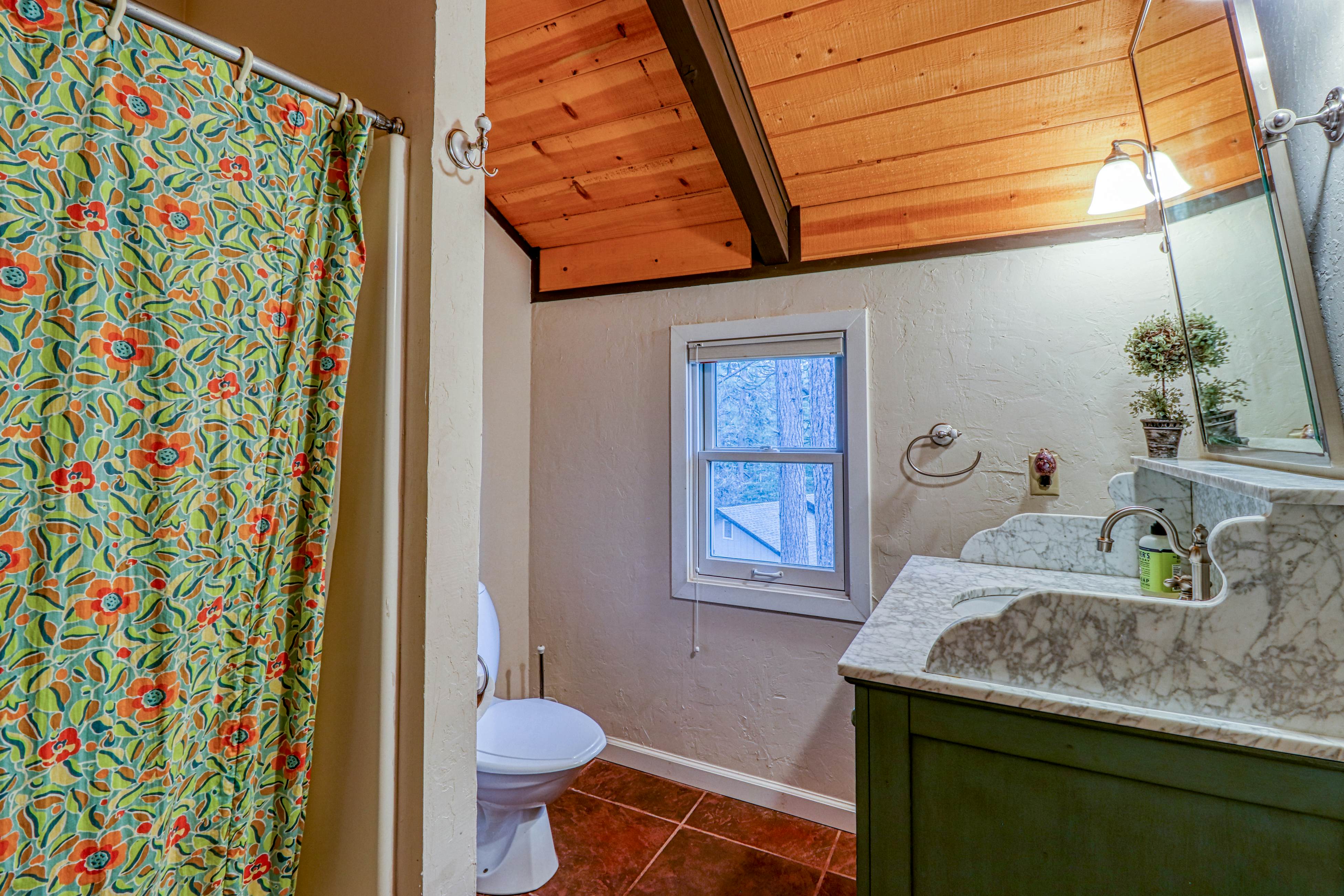 Forest Bears Hideout