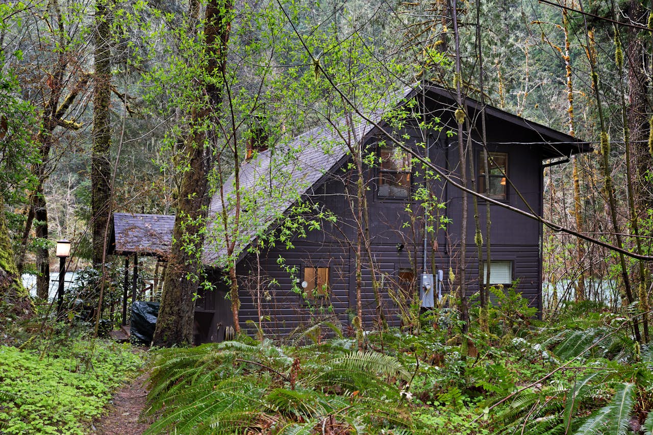 McKenzie River Cabin 5 BD Vacation Rental in Vida, OR Vacasa