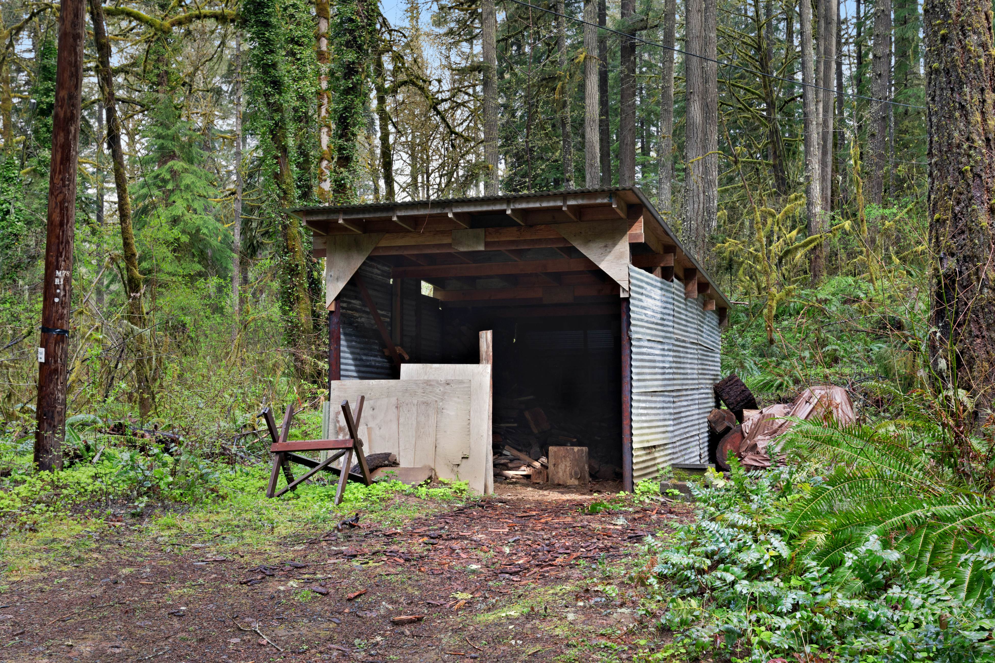 McKenzie River Cabin 5 BD Vida, OR Vacation Rental Vacasa