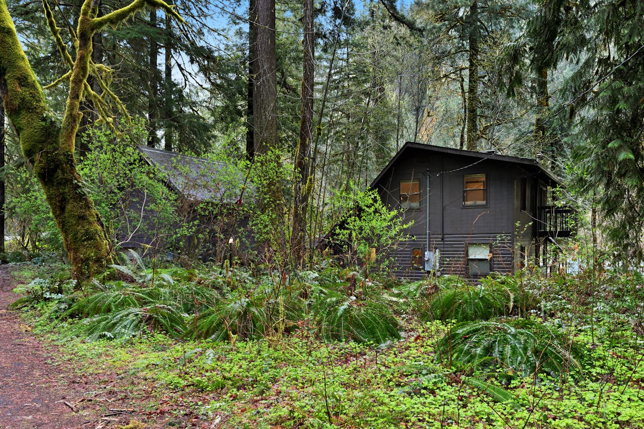 McKenzie River Cabin 5 BD Vacation Rental in Vida, OR Vacasa