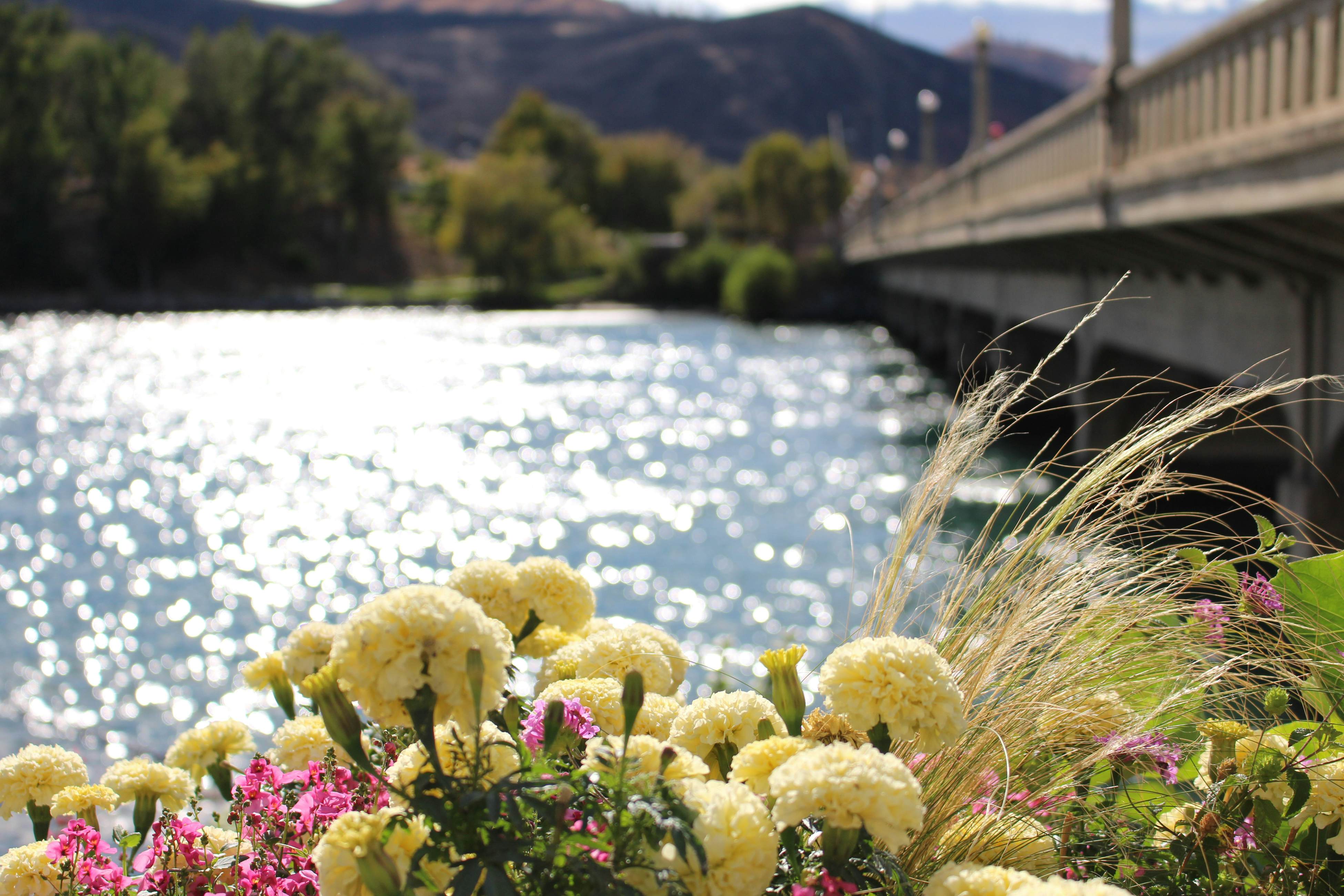 Chelan Resort Suites - Lakeside Serenity #309