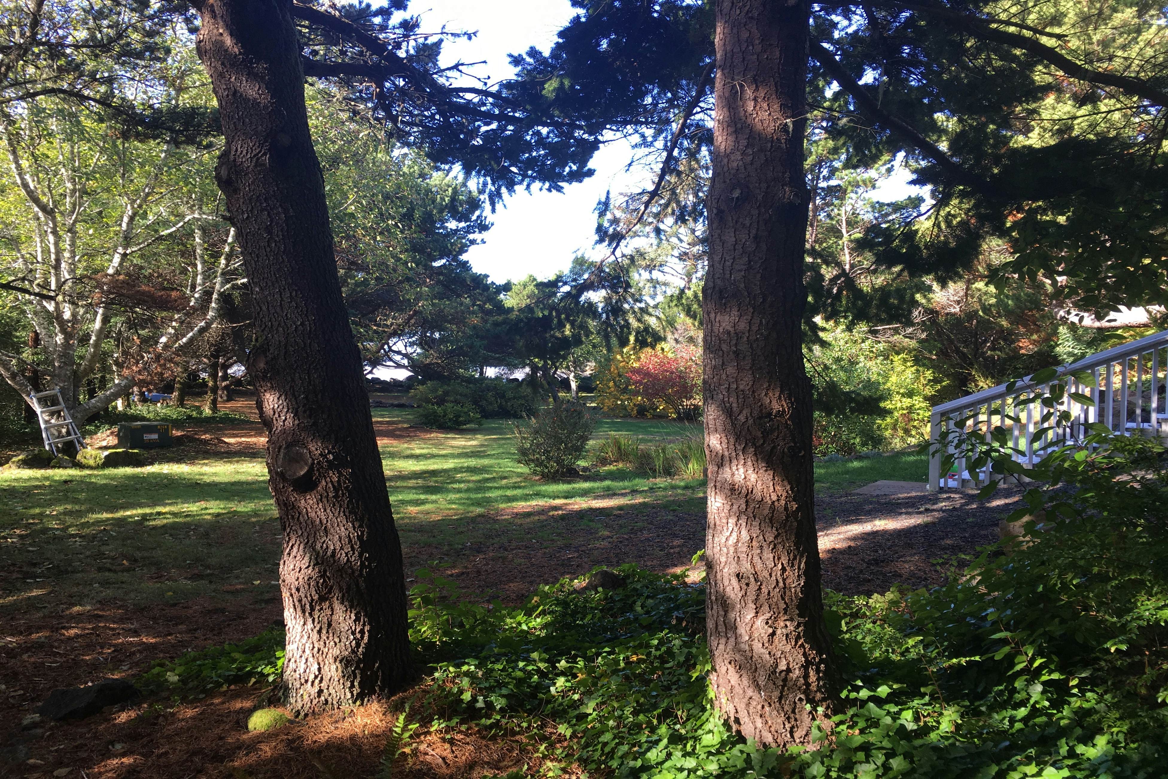 Hidden Luxury Beachfront Estate