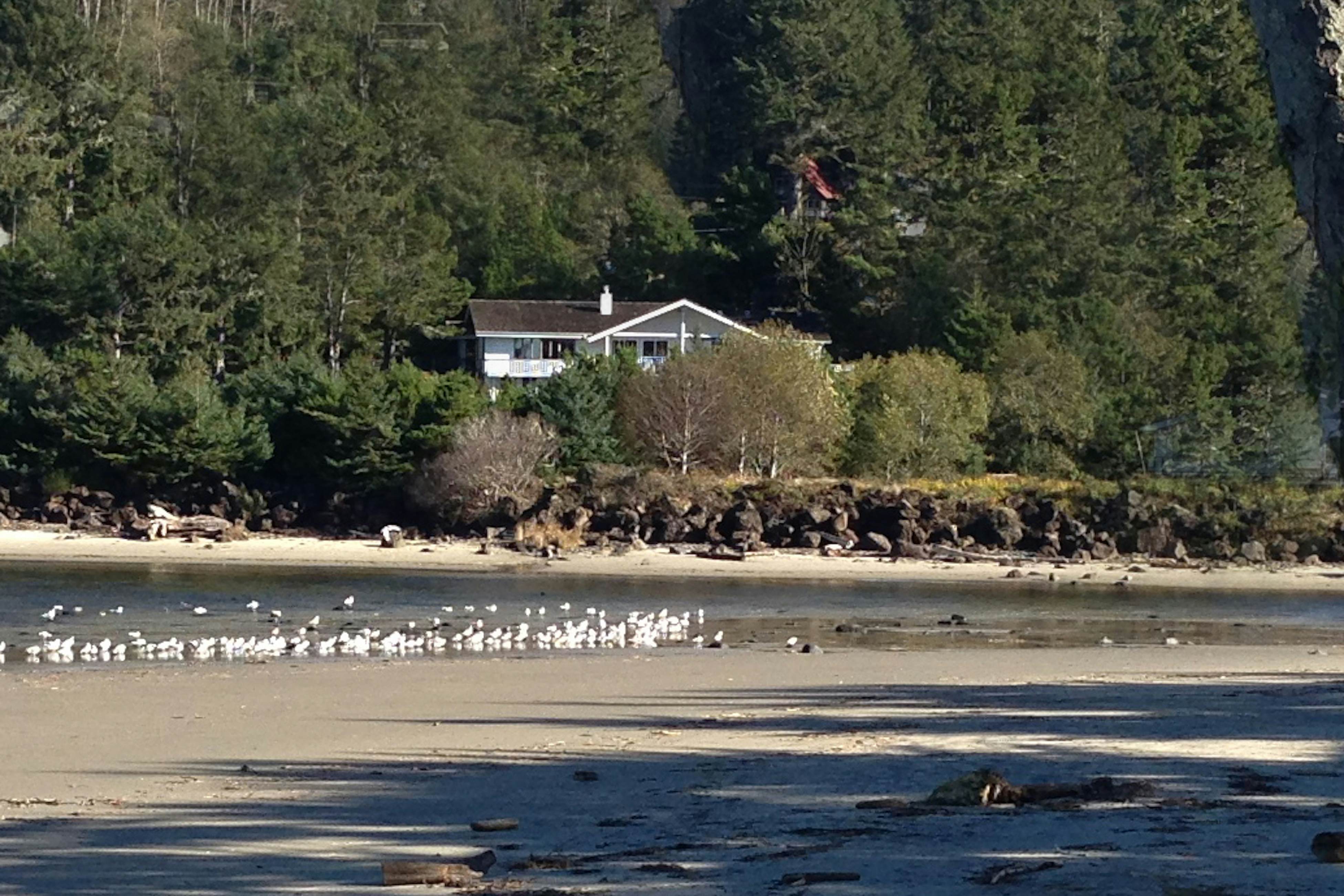 Hidden Luxury Beachfront Estate
