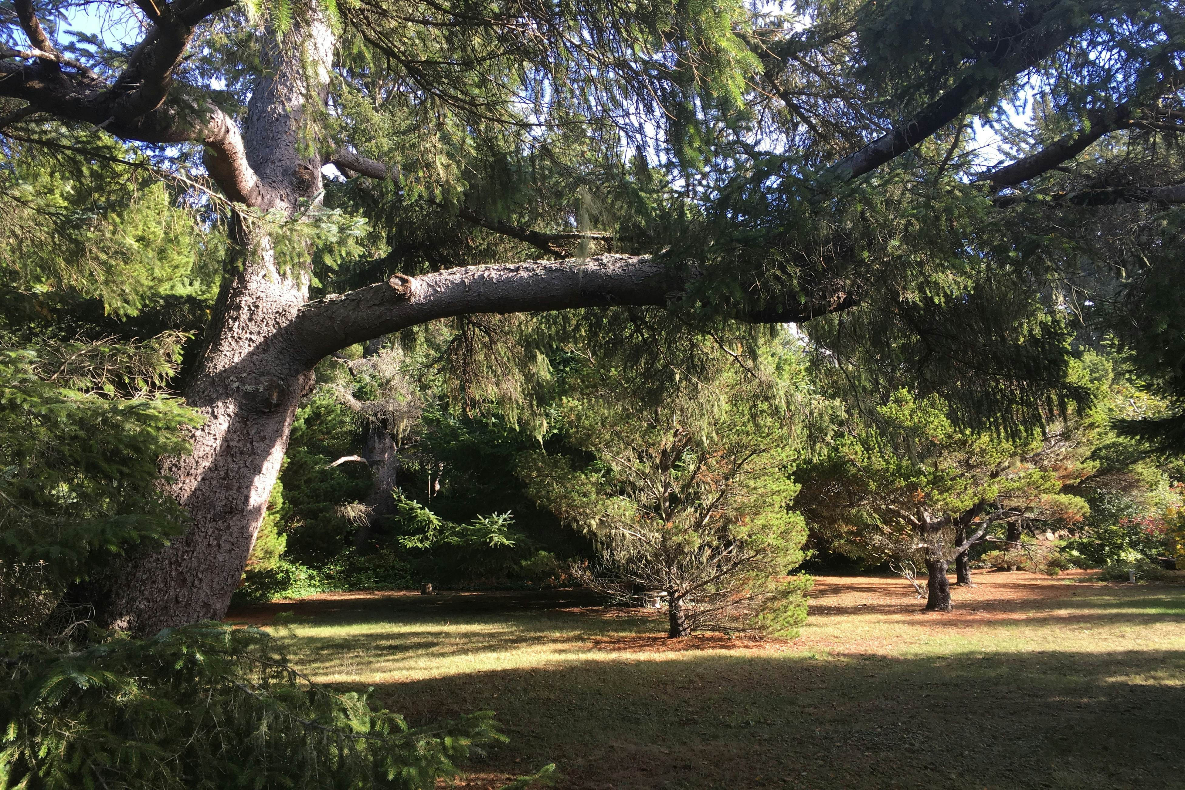 Hidden Luxury Beachfront Estate