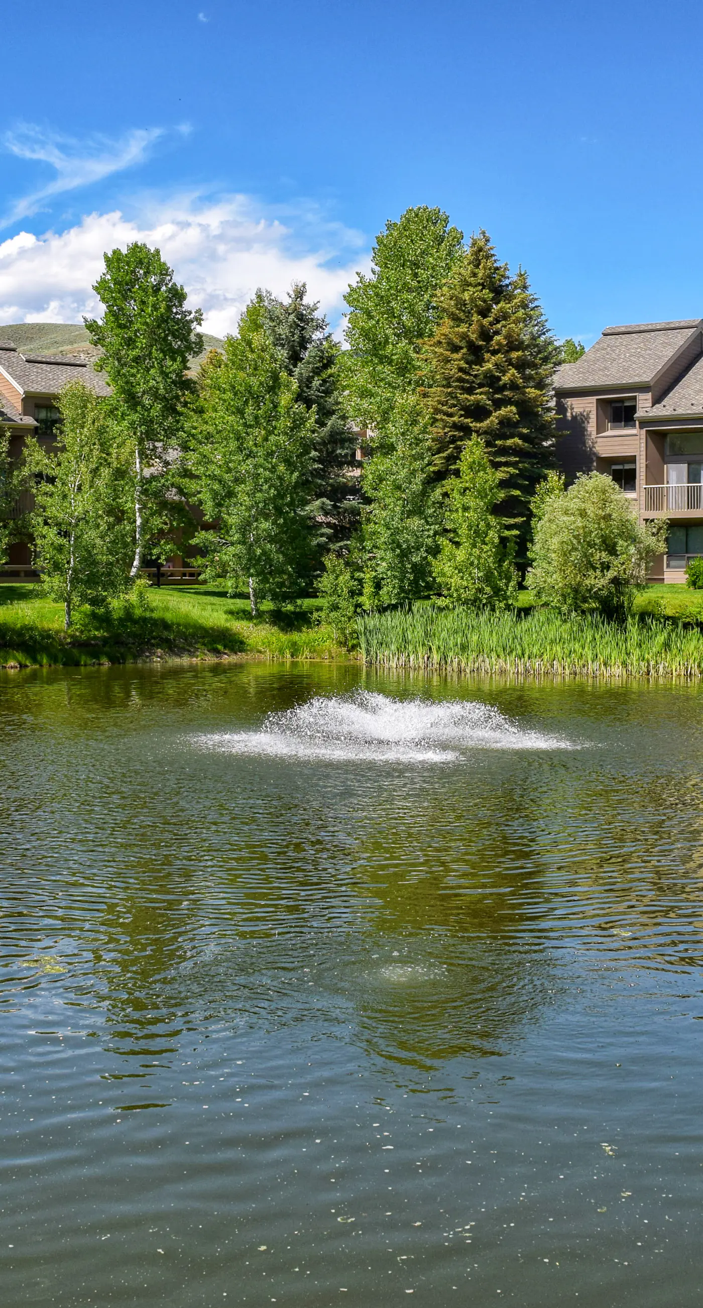 Elkhorn Springs Getaway