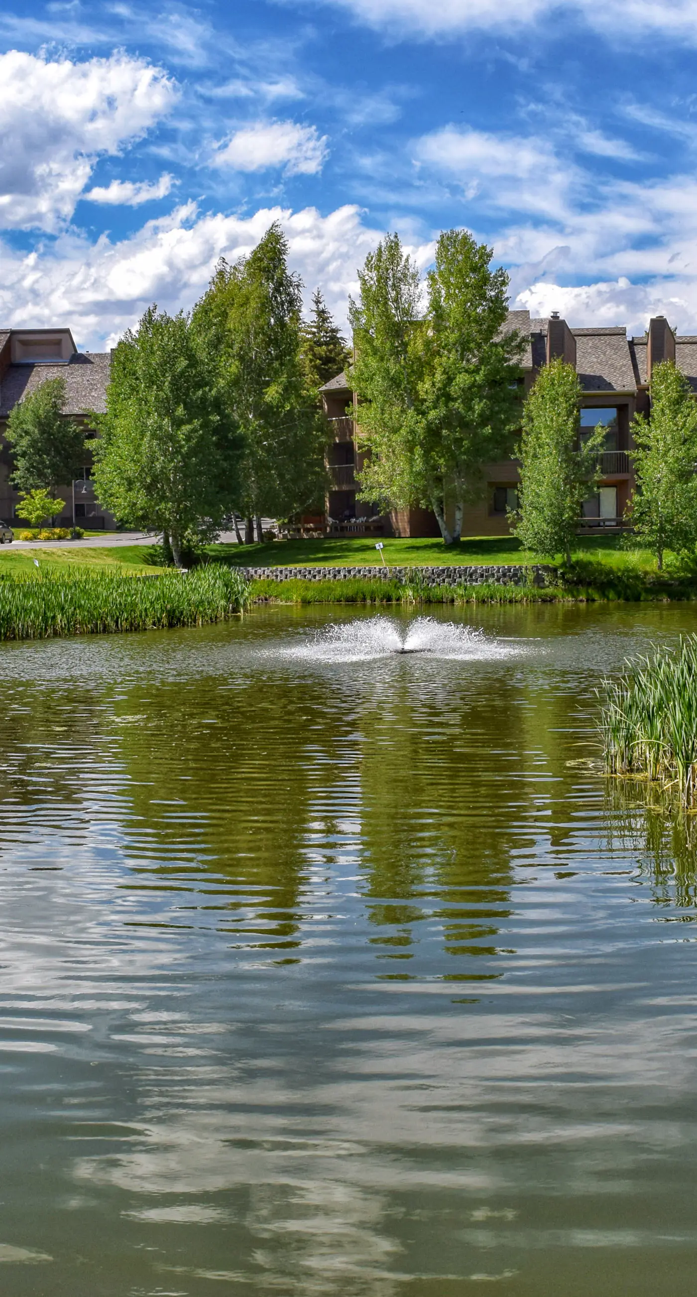Elkhorn Springs Getaway
