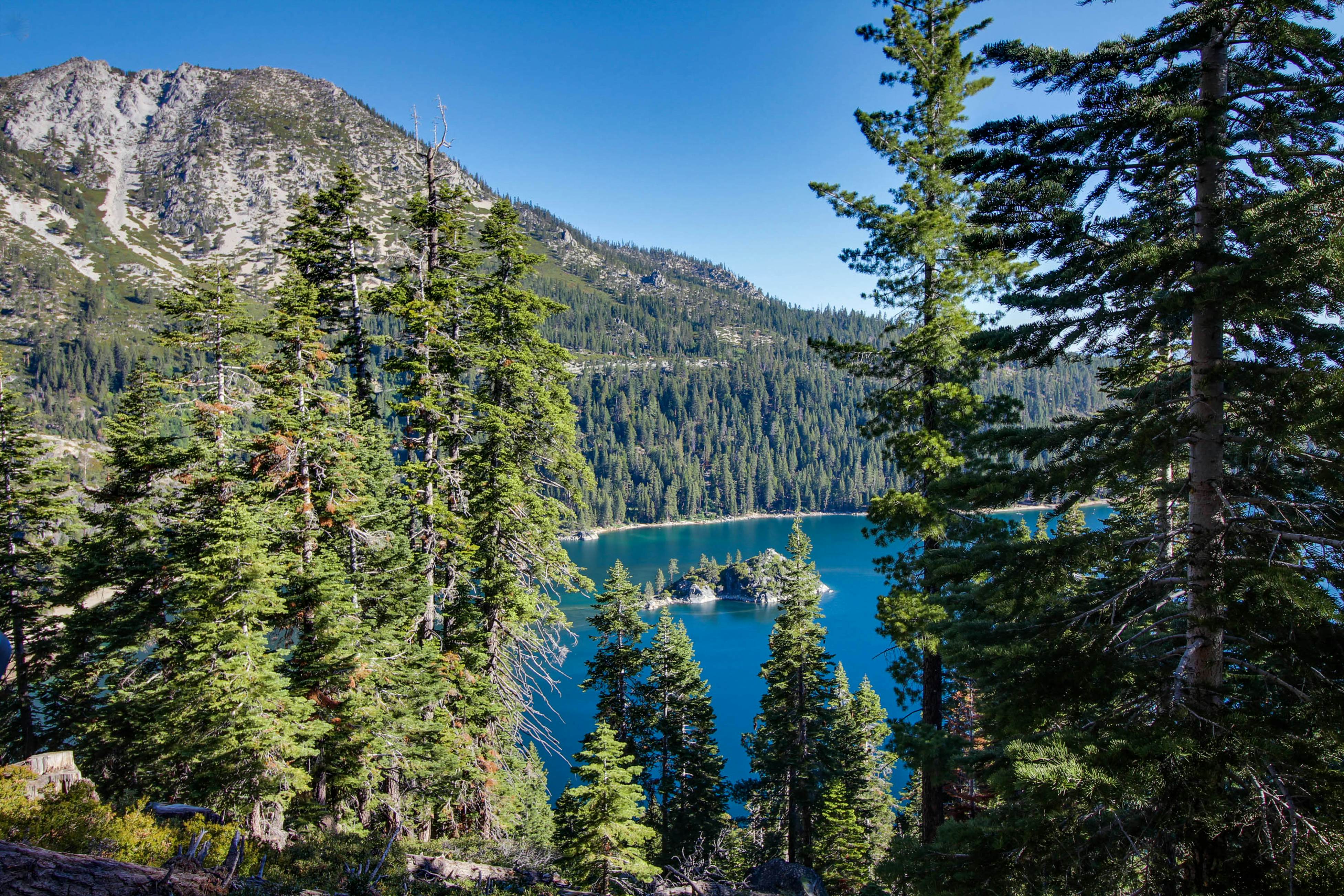 Montgomery Estates Retreat 3 BD South Lake Tahoe, CA Vacation Rental