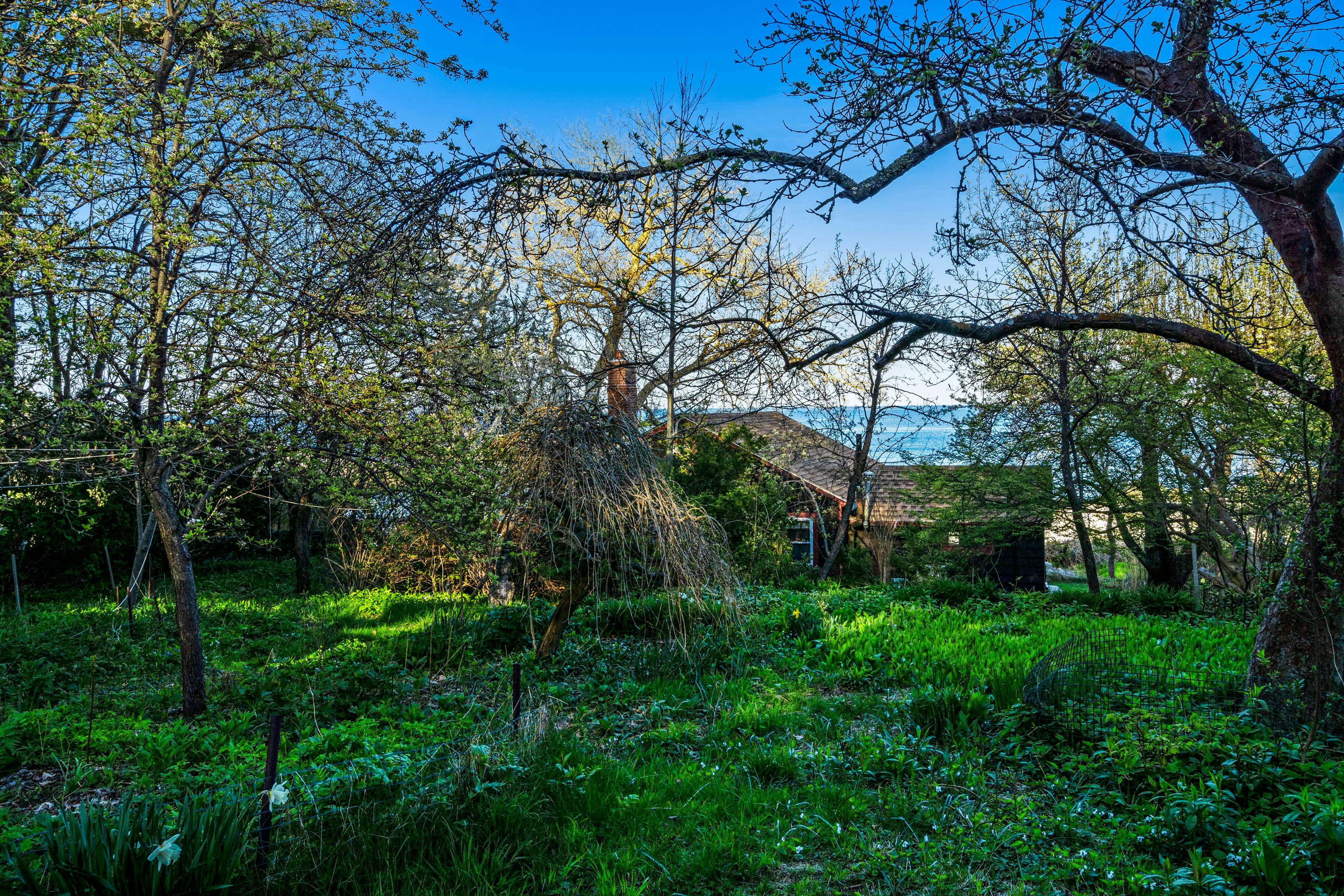 Rustic Rockport Cottage