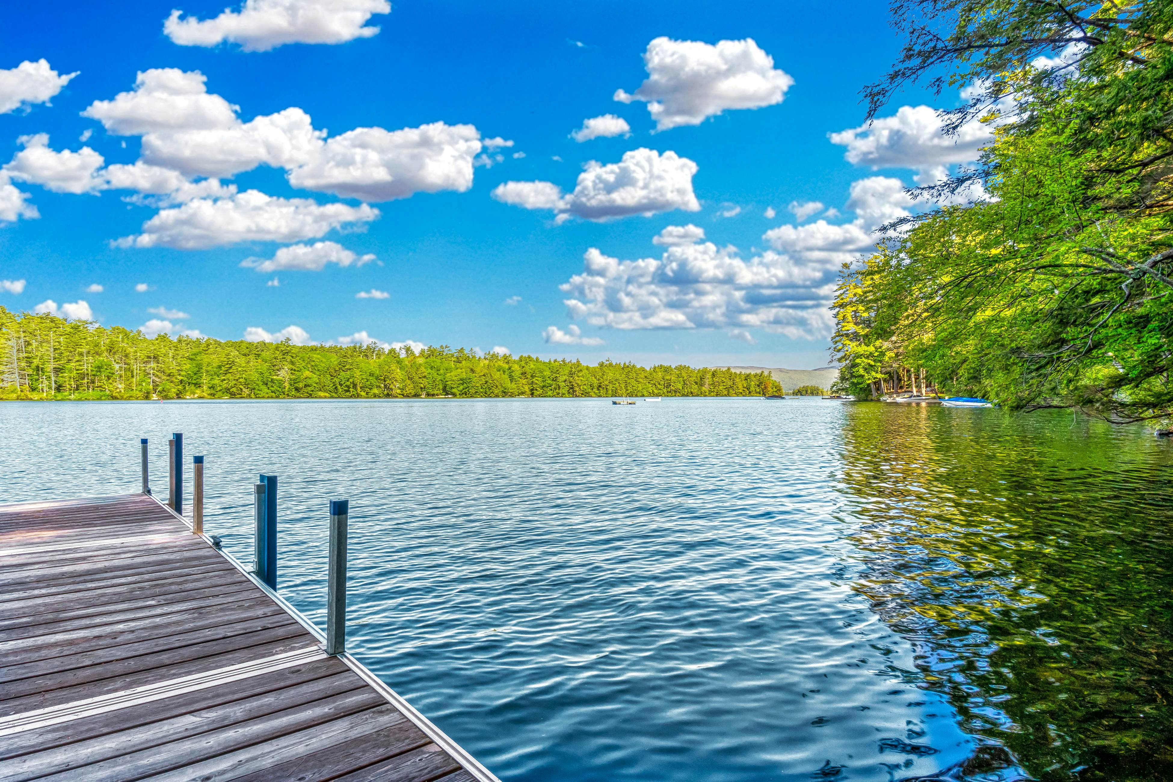 The Cabin on Squam Lake 3 BD Center Harbor, NH Vacation Rental Vacasa