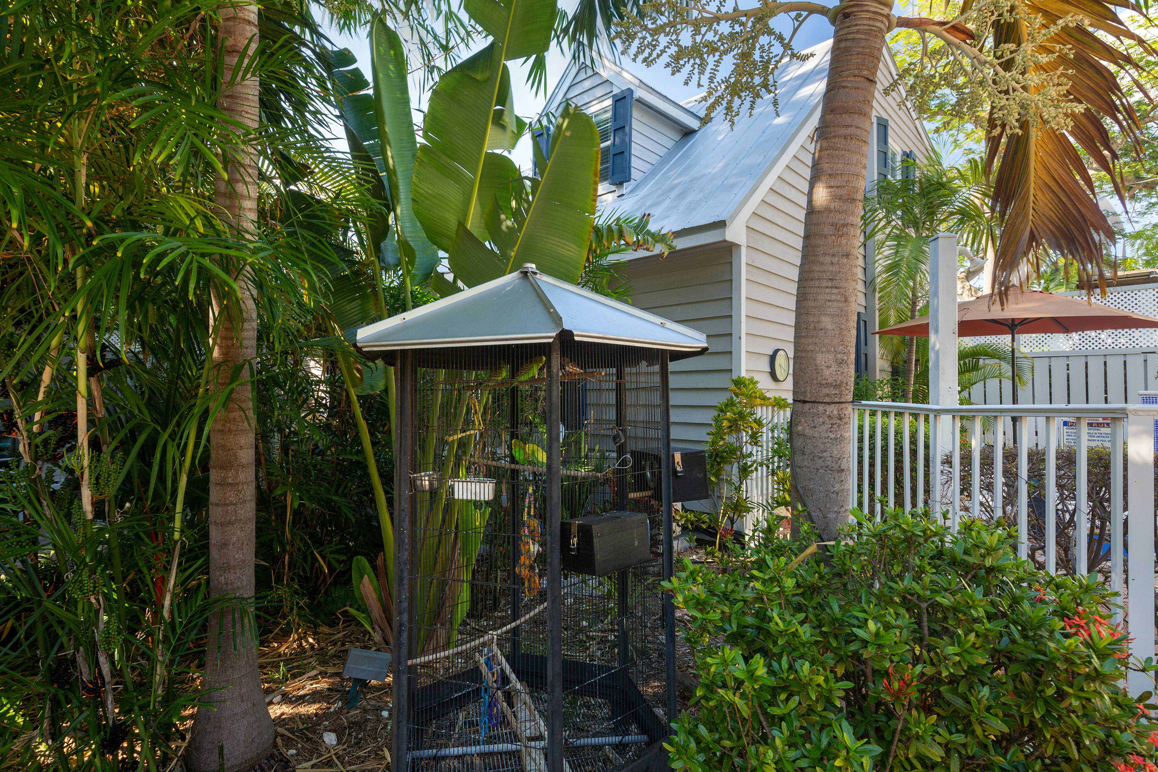 Old Town Garden Villas - Andros Suite