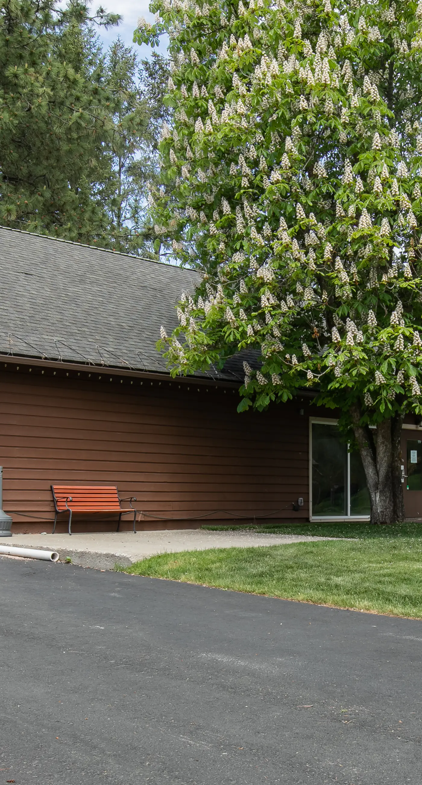 Bay Point Lakefront 1B Up