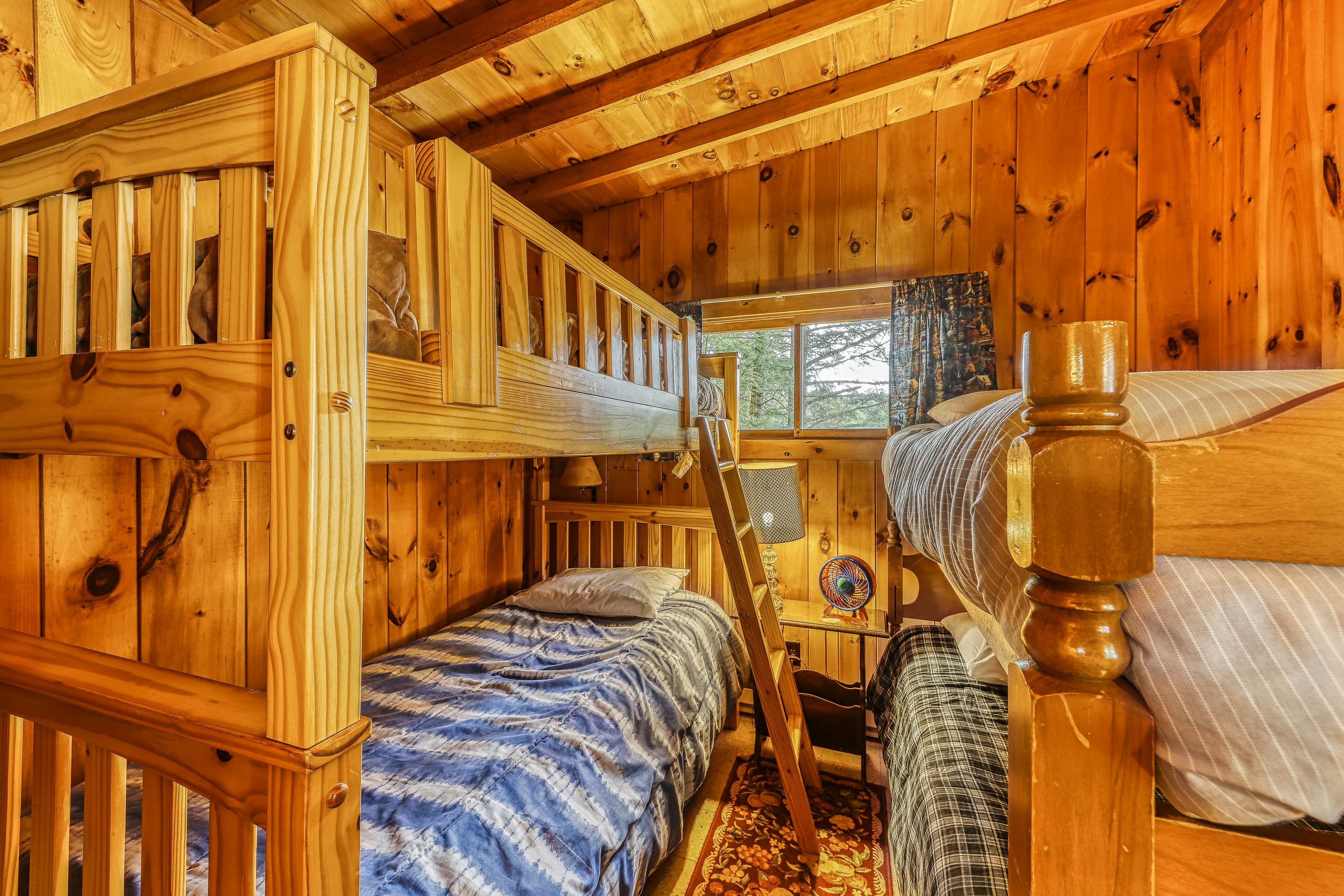 Basic Adirondack Camp