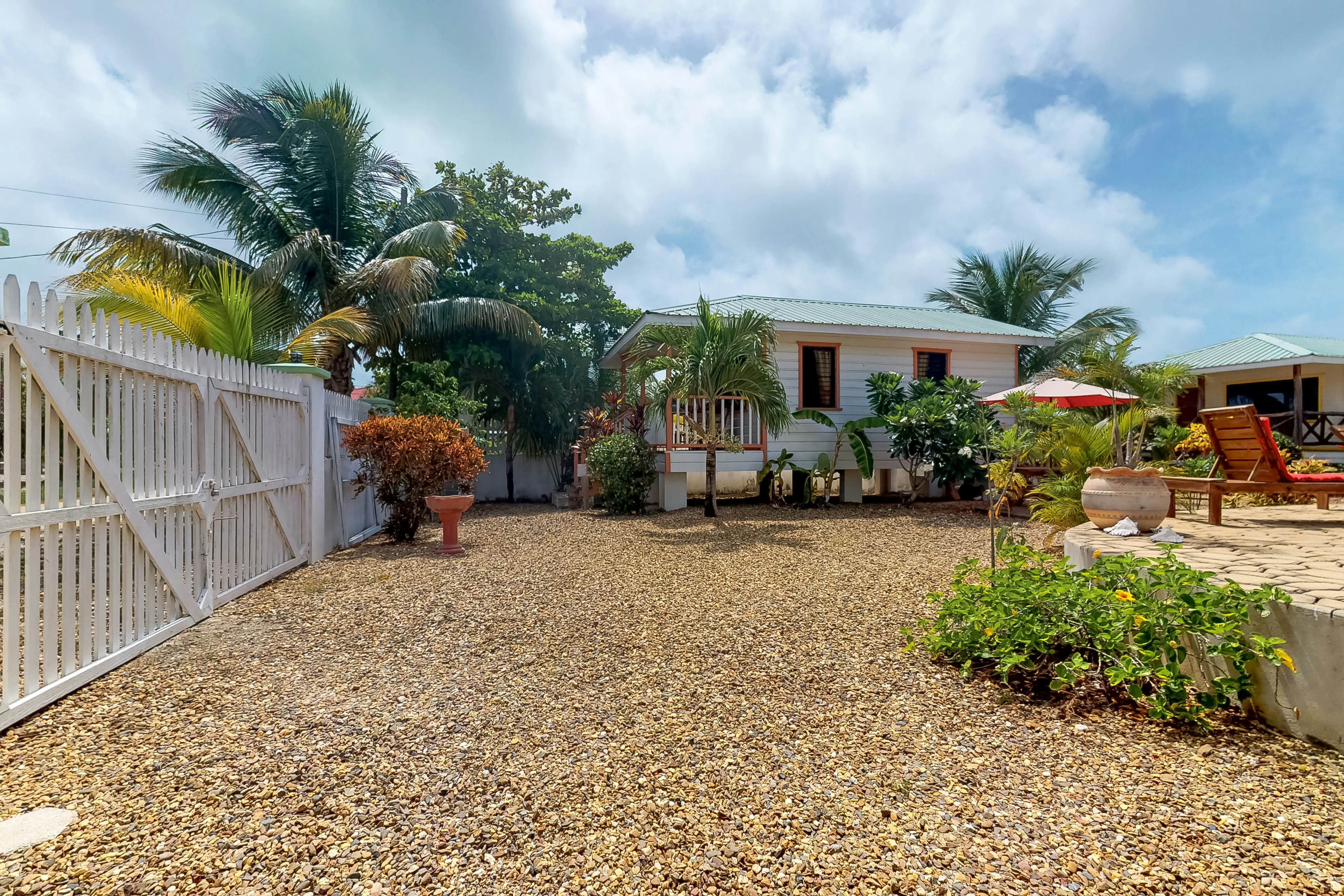 Green Iguana at Latitude Adjustment -Gold Standard Certified