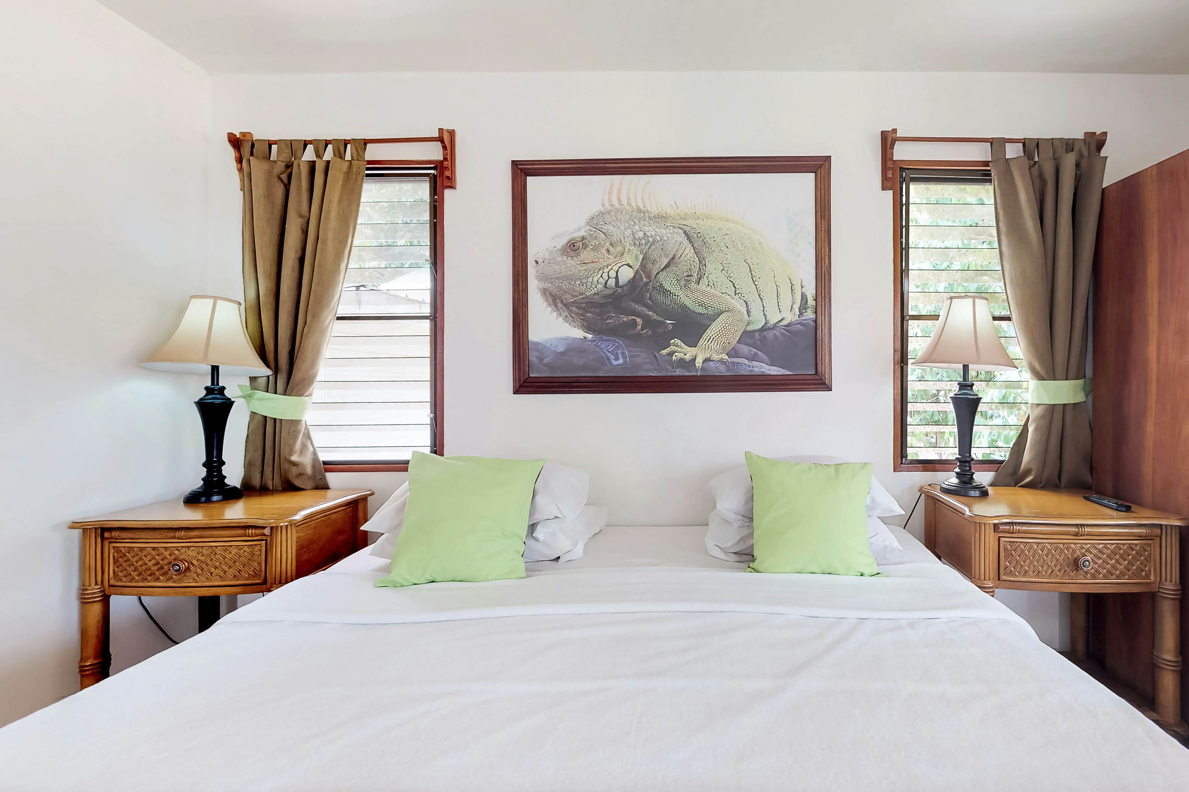 Green Iguana at Latitude Adjustment -Gold Standard Certified