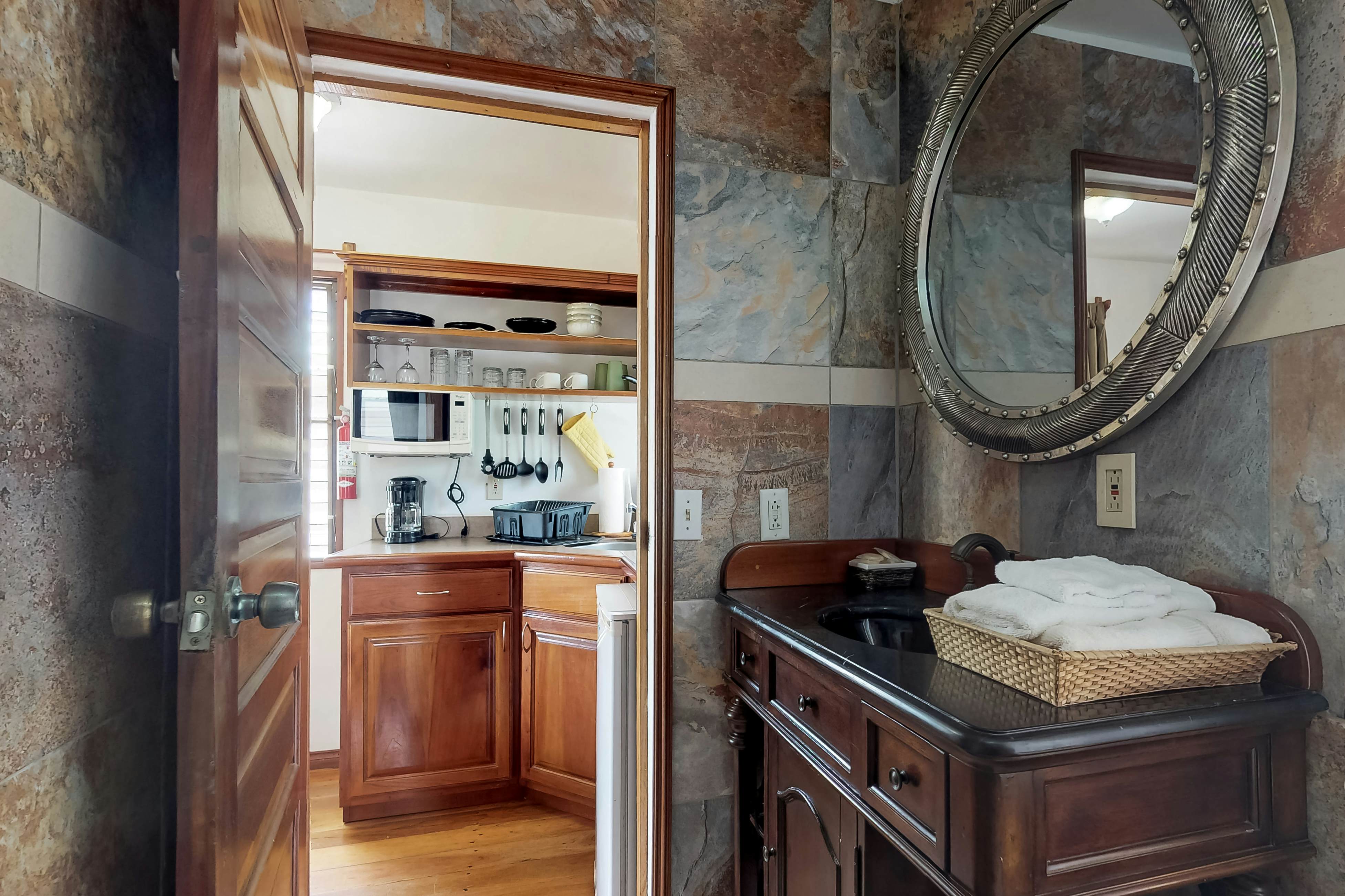 Green Iguana at Latitude Adjustment -Gold Standard Certified