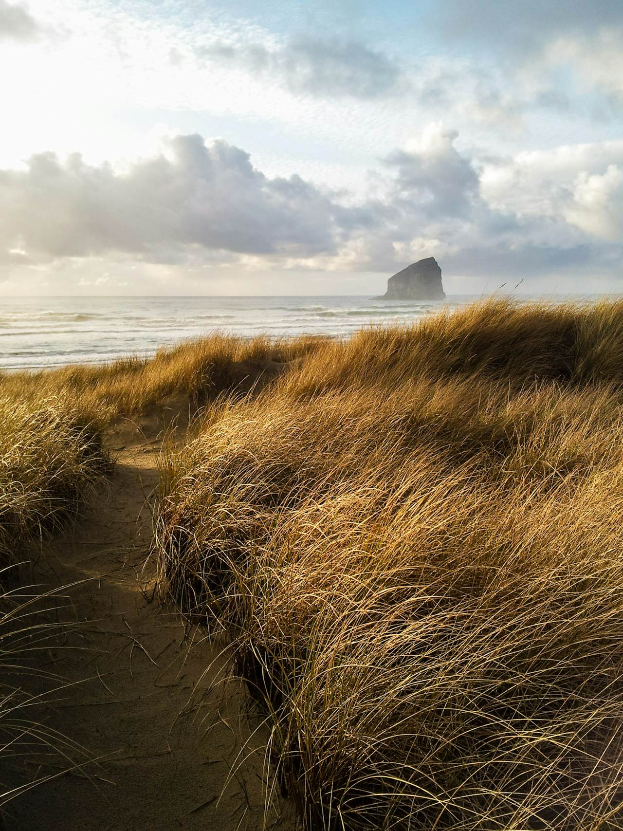 Ocean's Reach 2 BD Vacation Rental in Pacific City, OR Vacasa