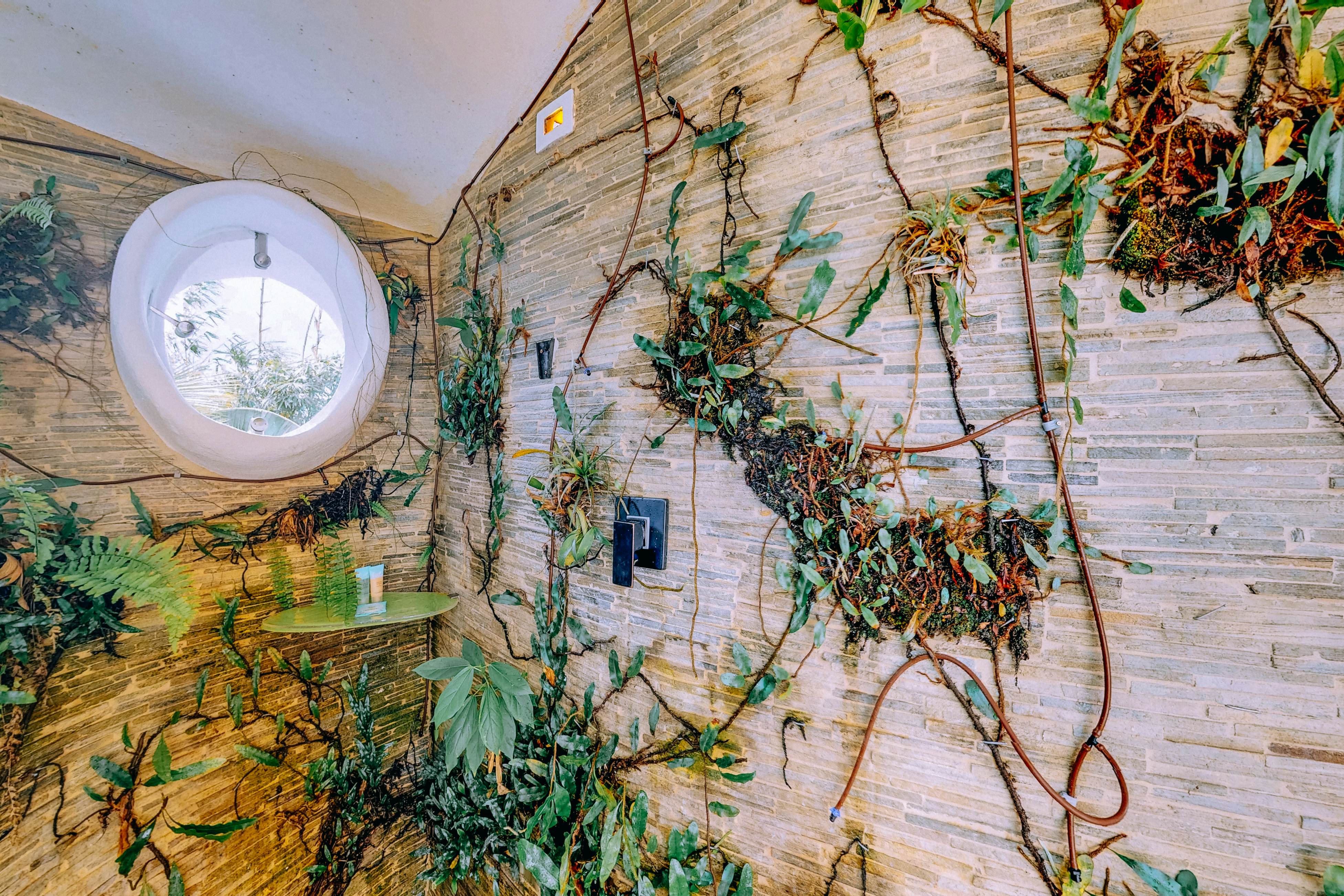 Dolphin at Swan Villas -Gold Standard Certified