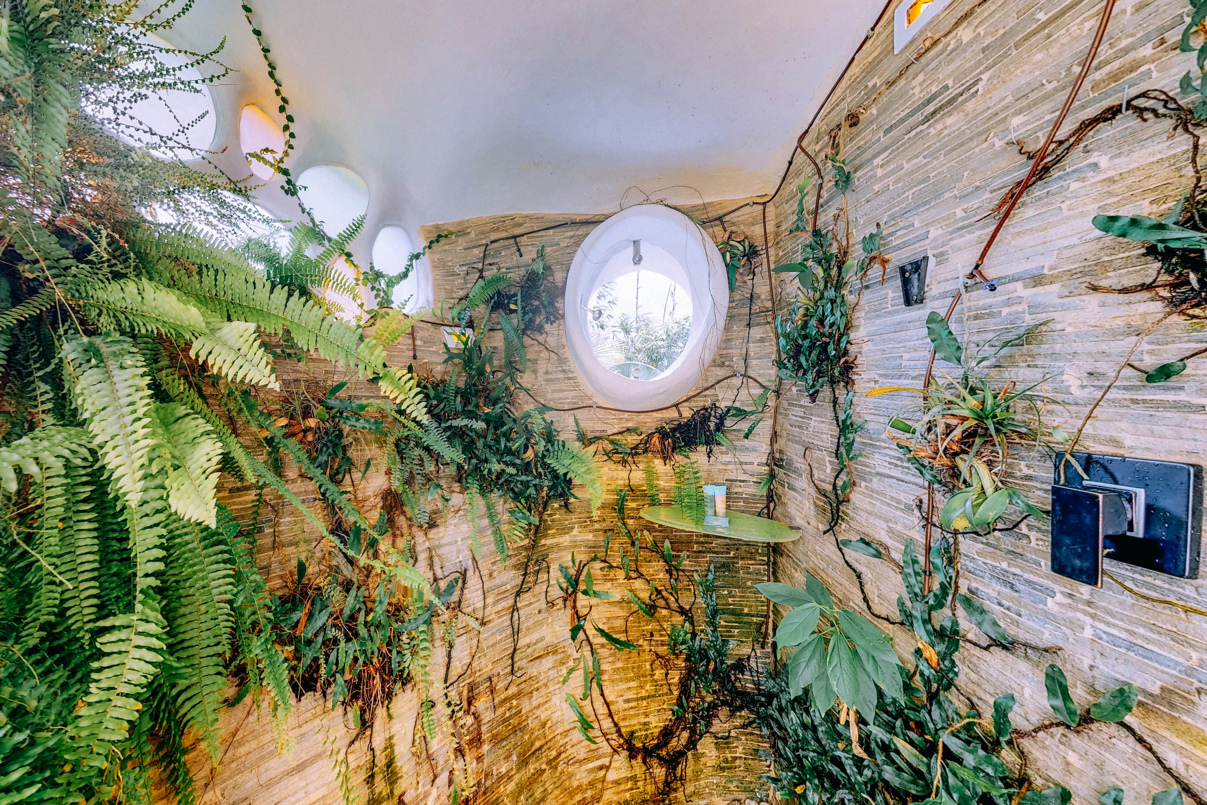 Dolphin at Swan Villas -Gold Standard Certified