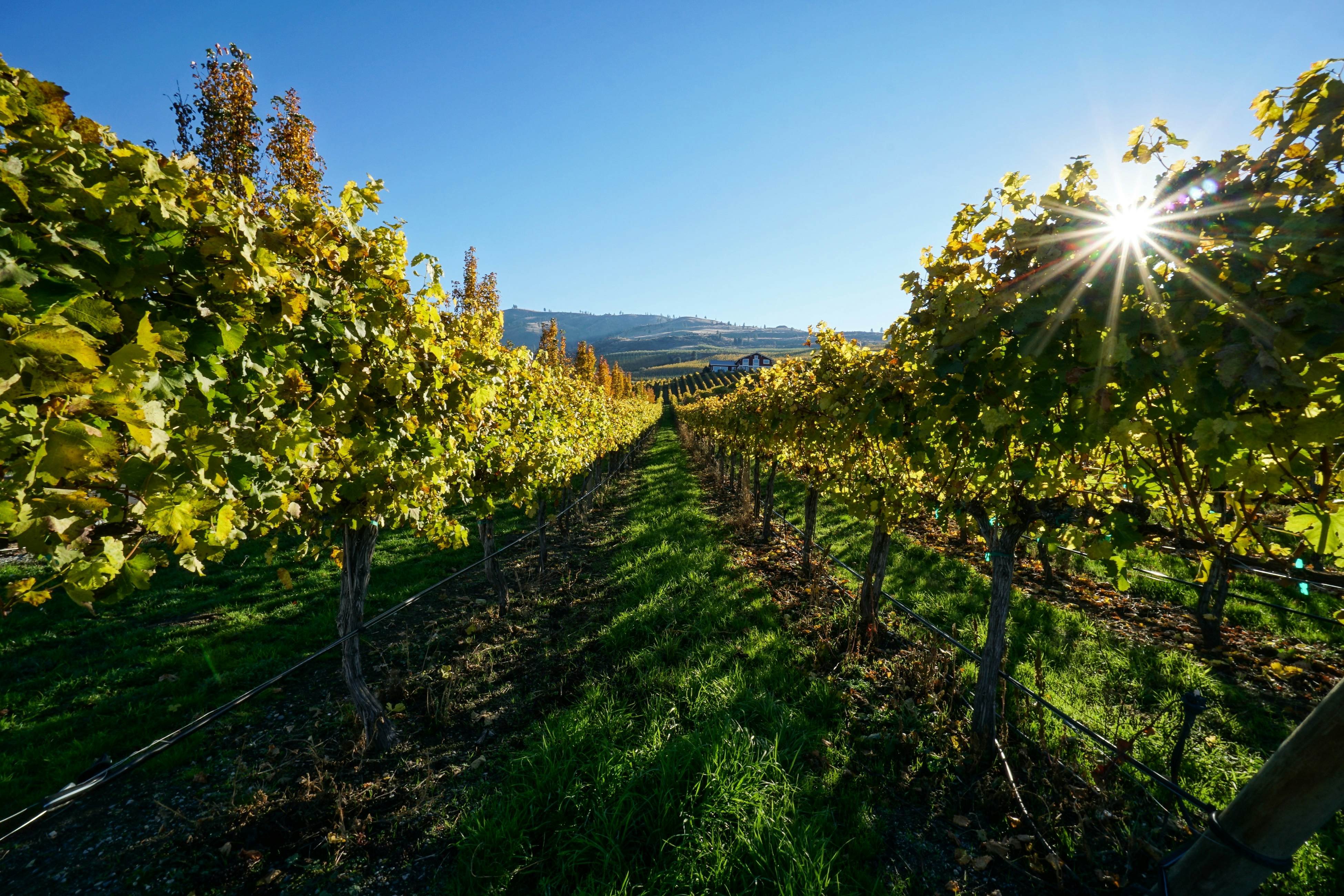 Lake Cruiser Cottage