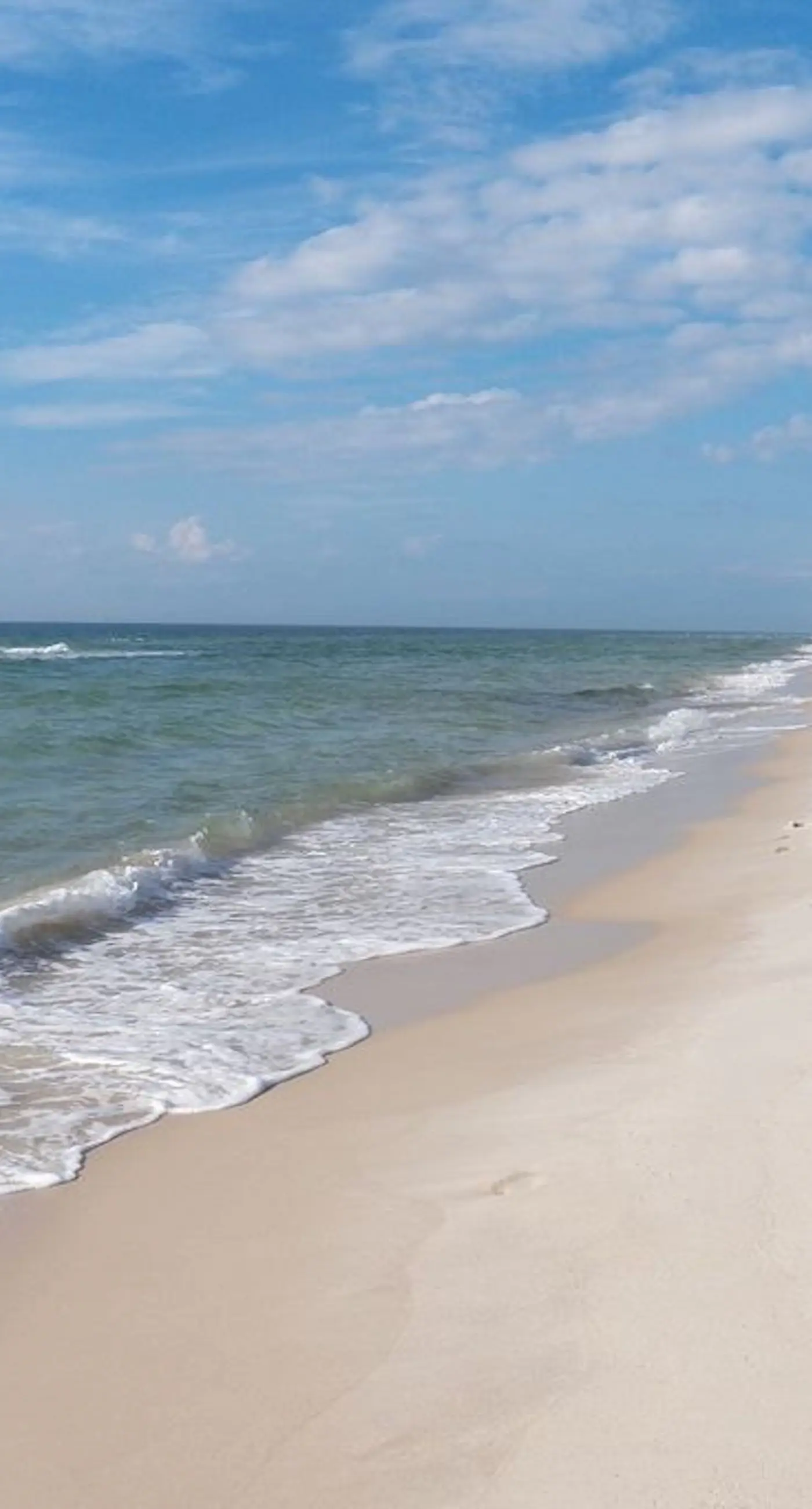 Fort Beach Rentals, House Rentals, Vacation Rentals Vacasa