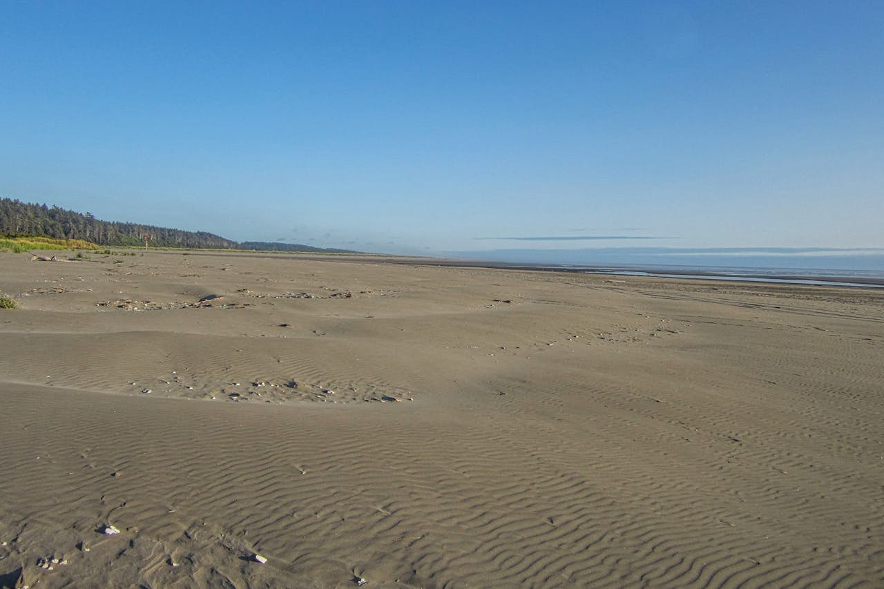 Rocks Cabin 1 BD Vacation Rental in Copalis Beach, WA Vacasa