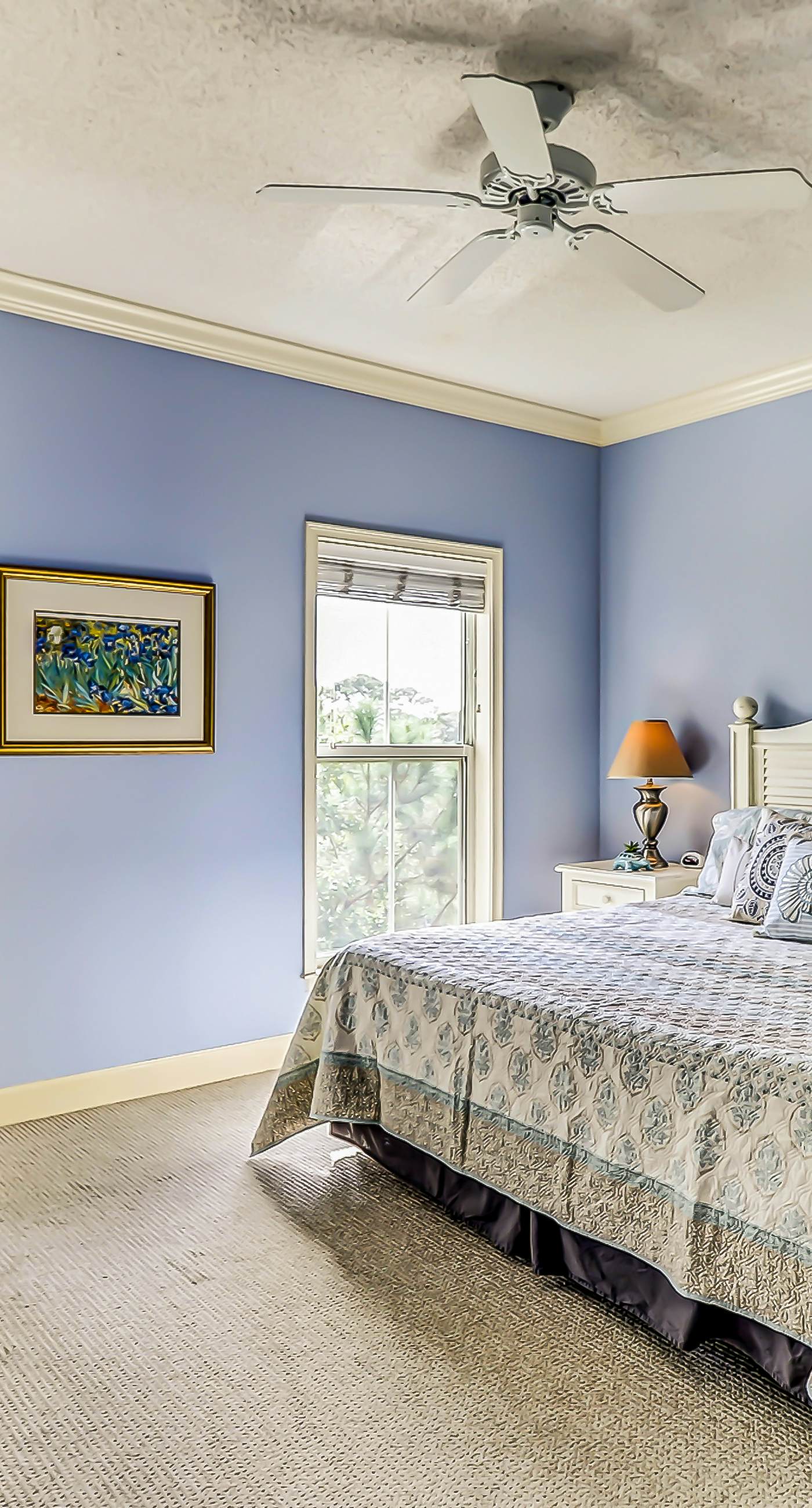 North Shore Place 407