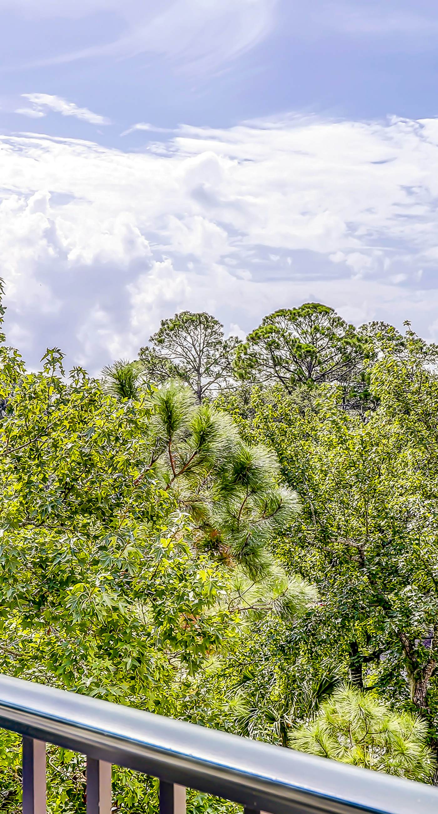 North Shore Place 407