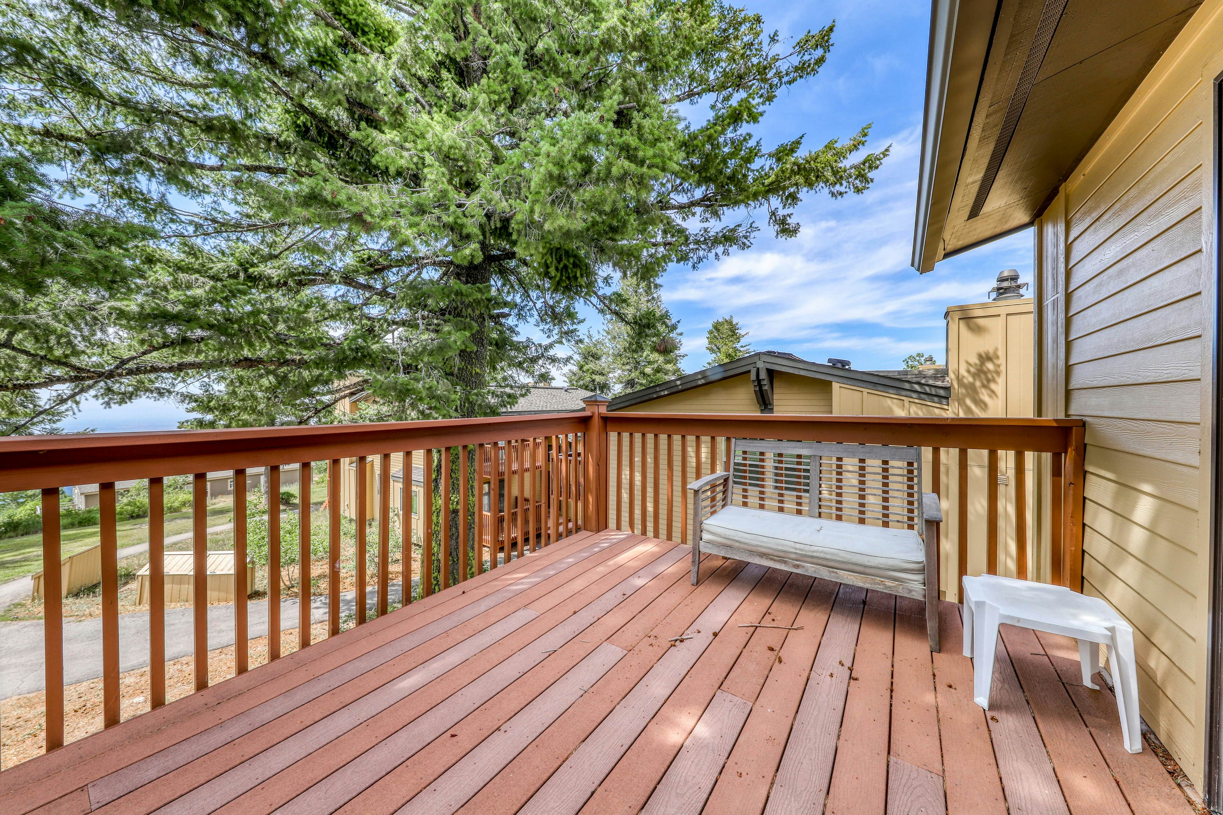 Pioneer Vista -246 F