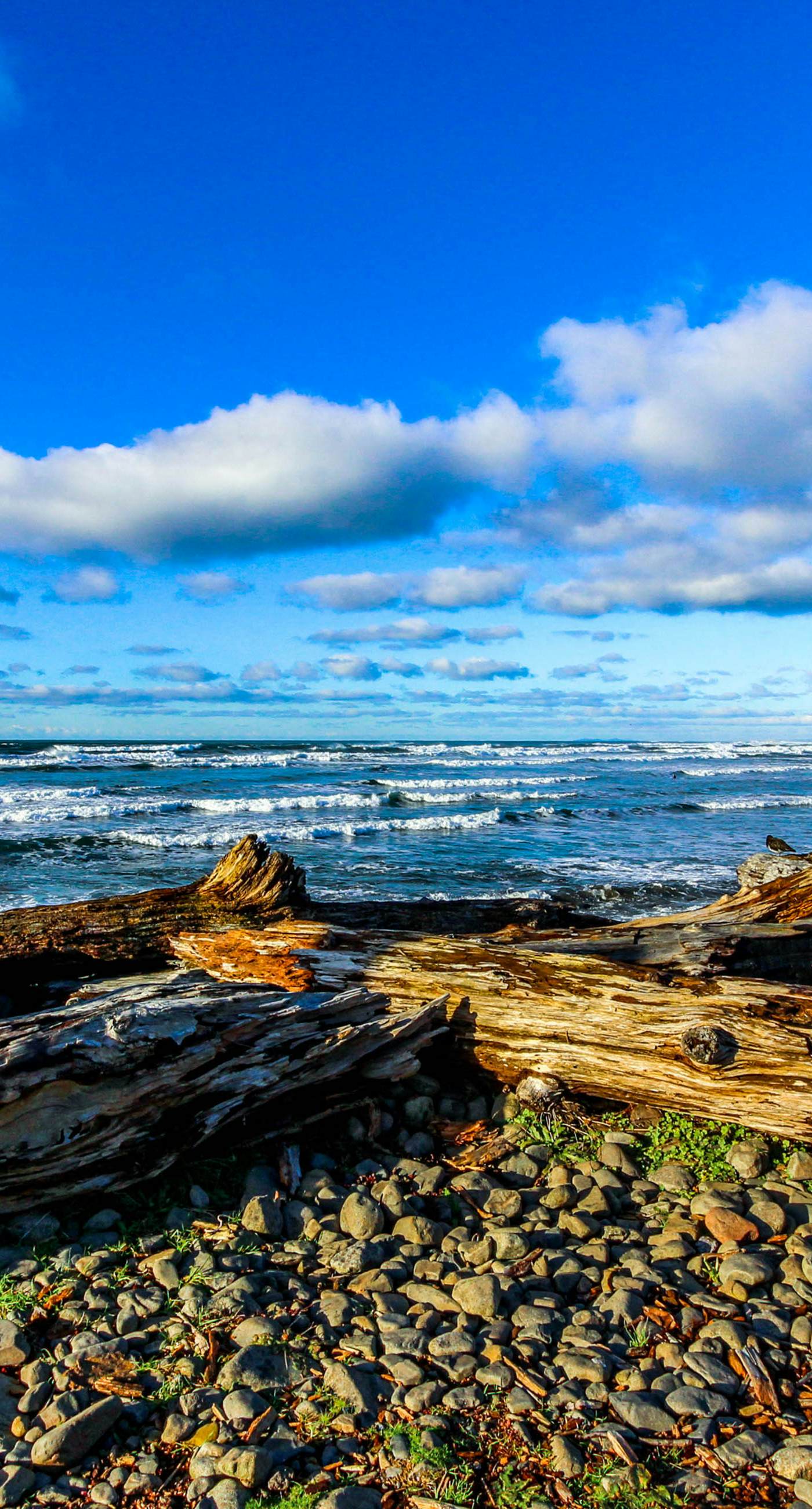 Seaside Turtle Terrace