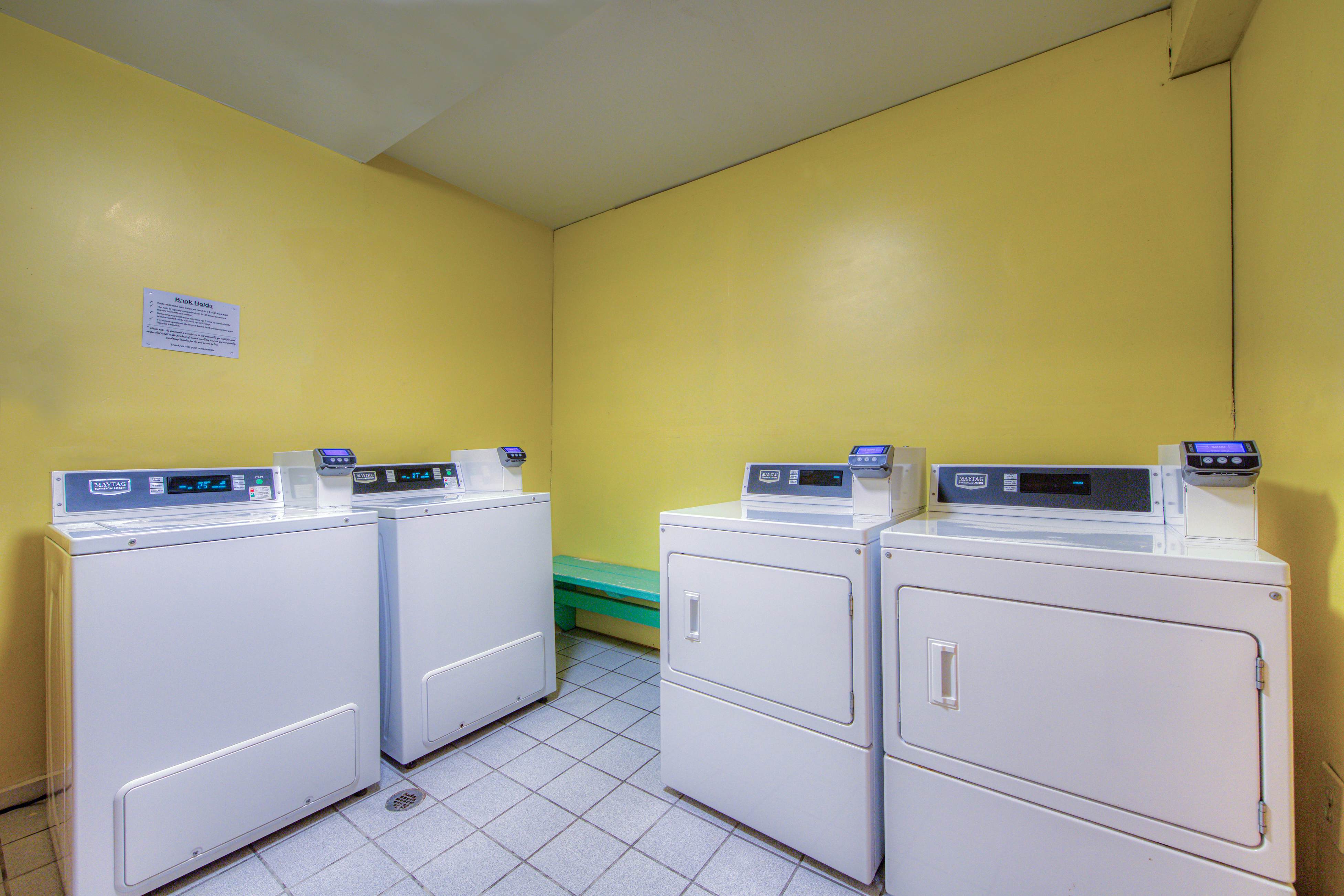 Plantation Palms #6308