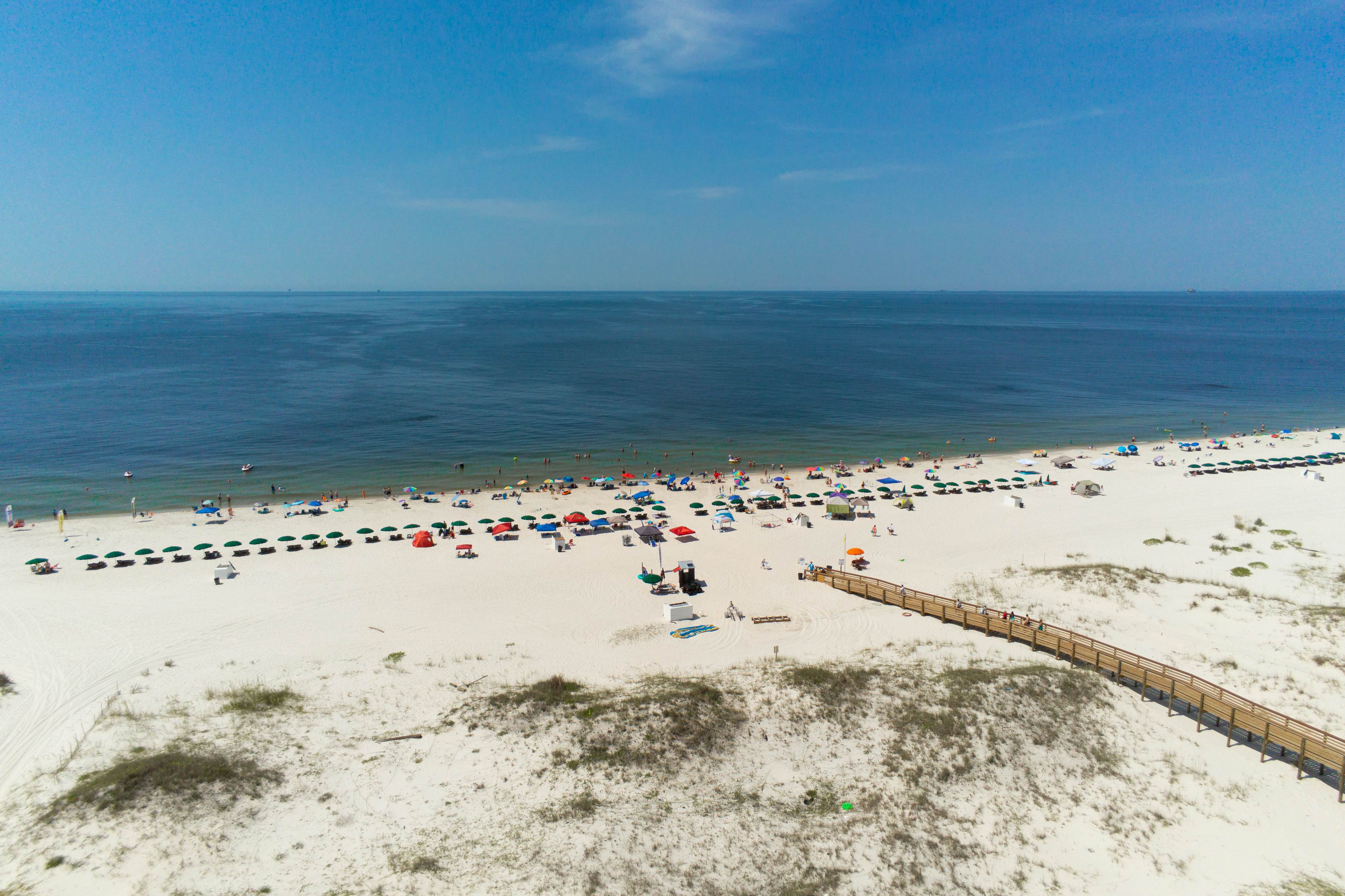 Plantation Dunes #5516