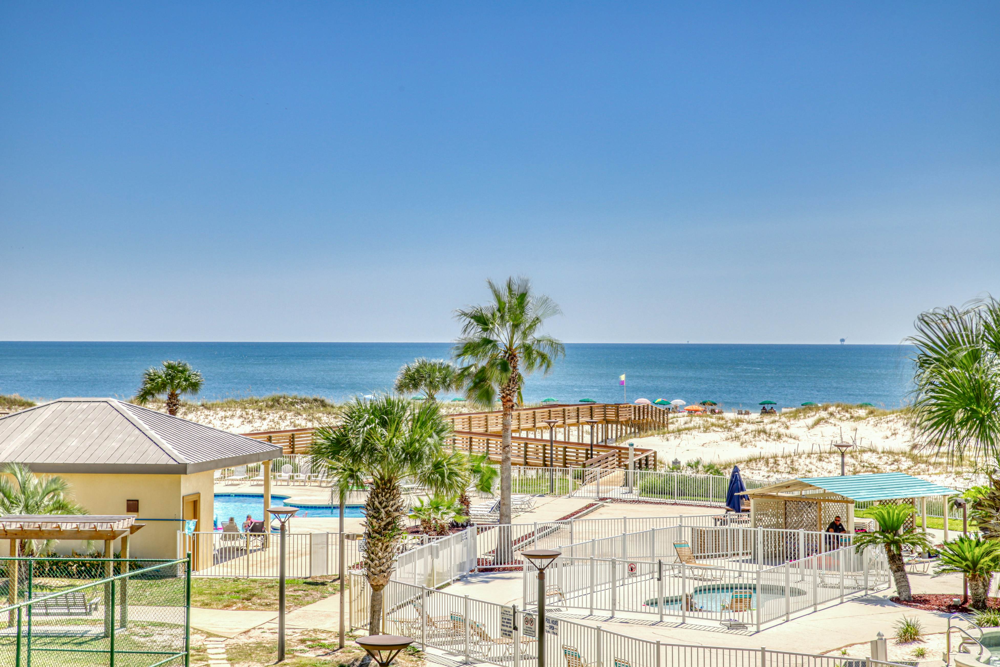 Plantation Palms #6308