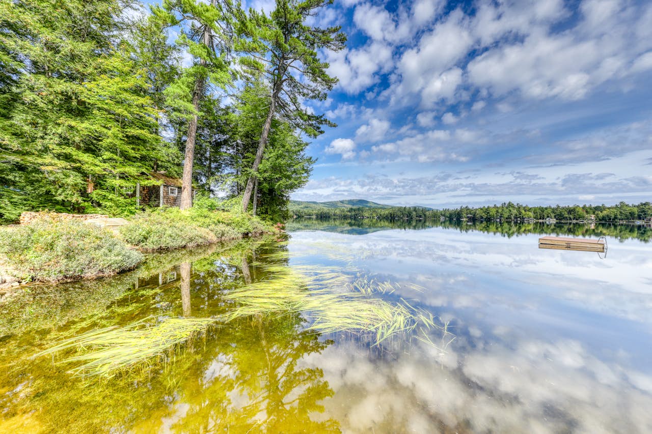 Forest Lake Waterfront Paradise 4 BD Vacation Rental in Whitefield