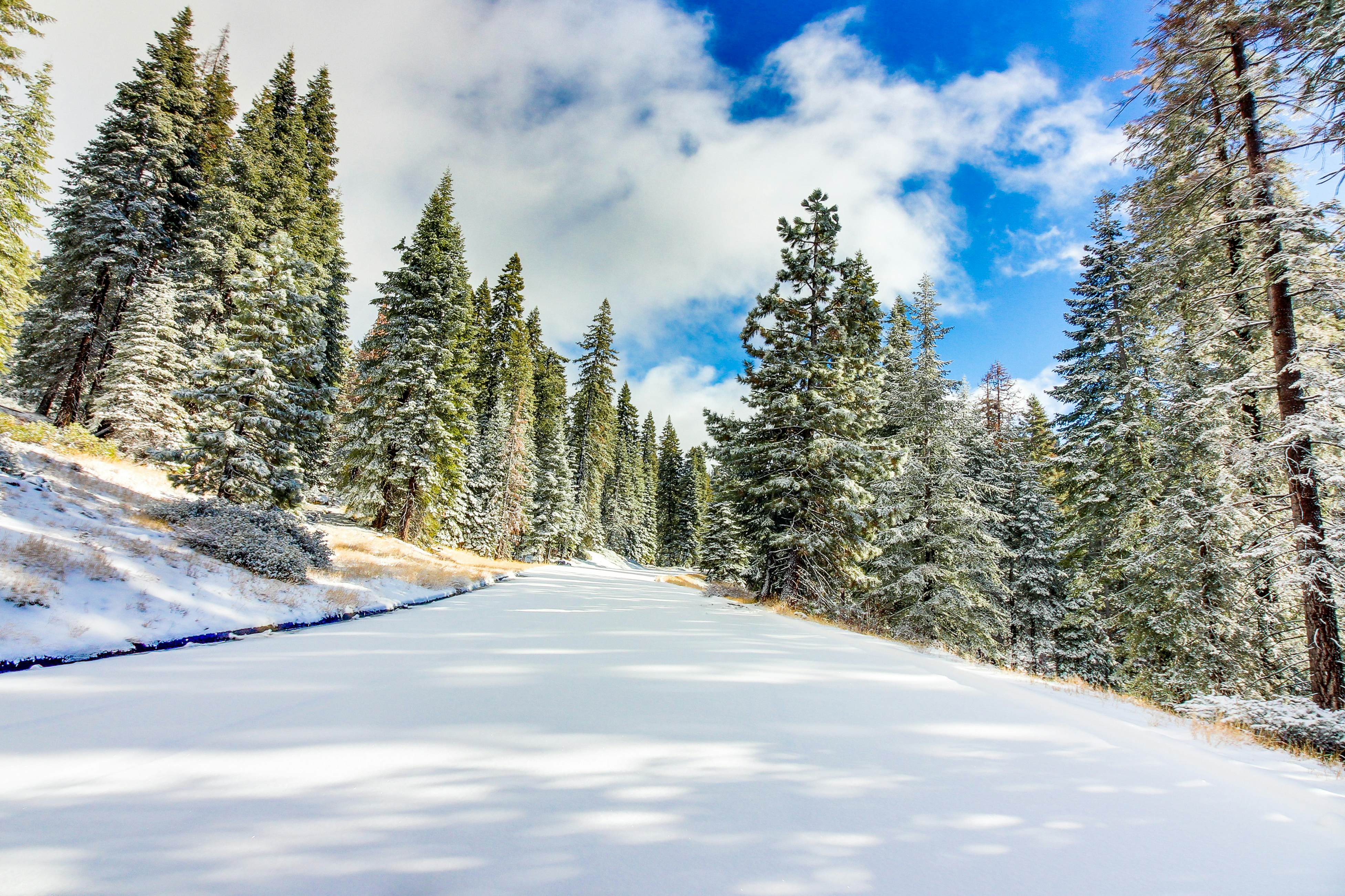 Huntington Lair Condominium