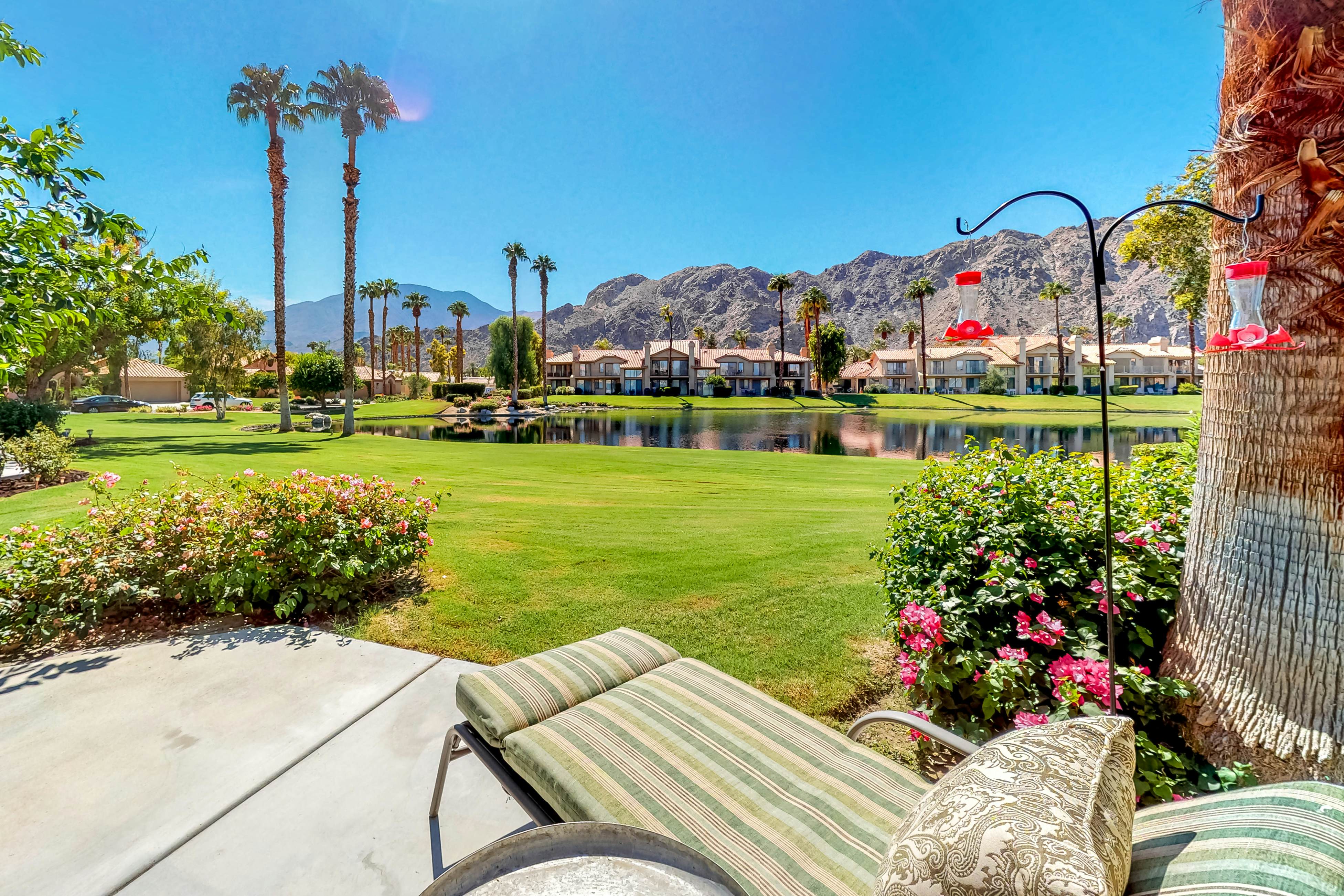 Mountain View Escape