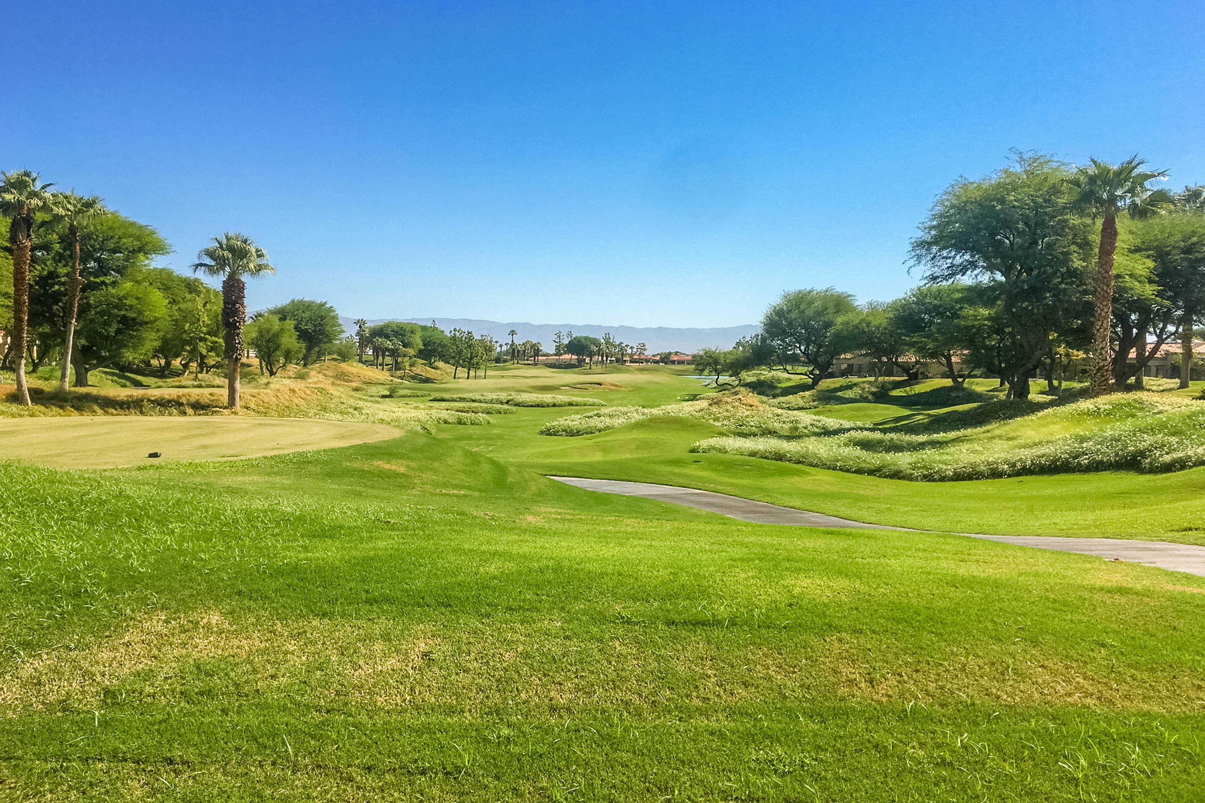 Mountain View Escape