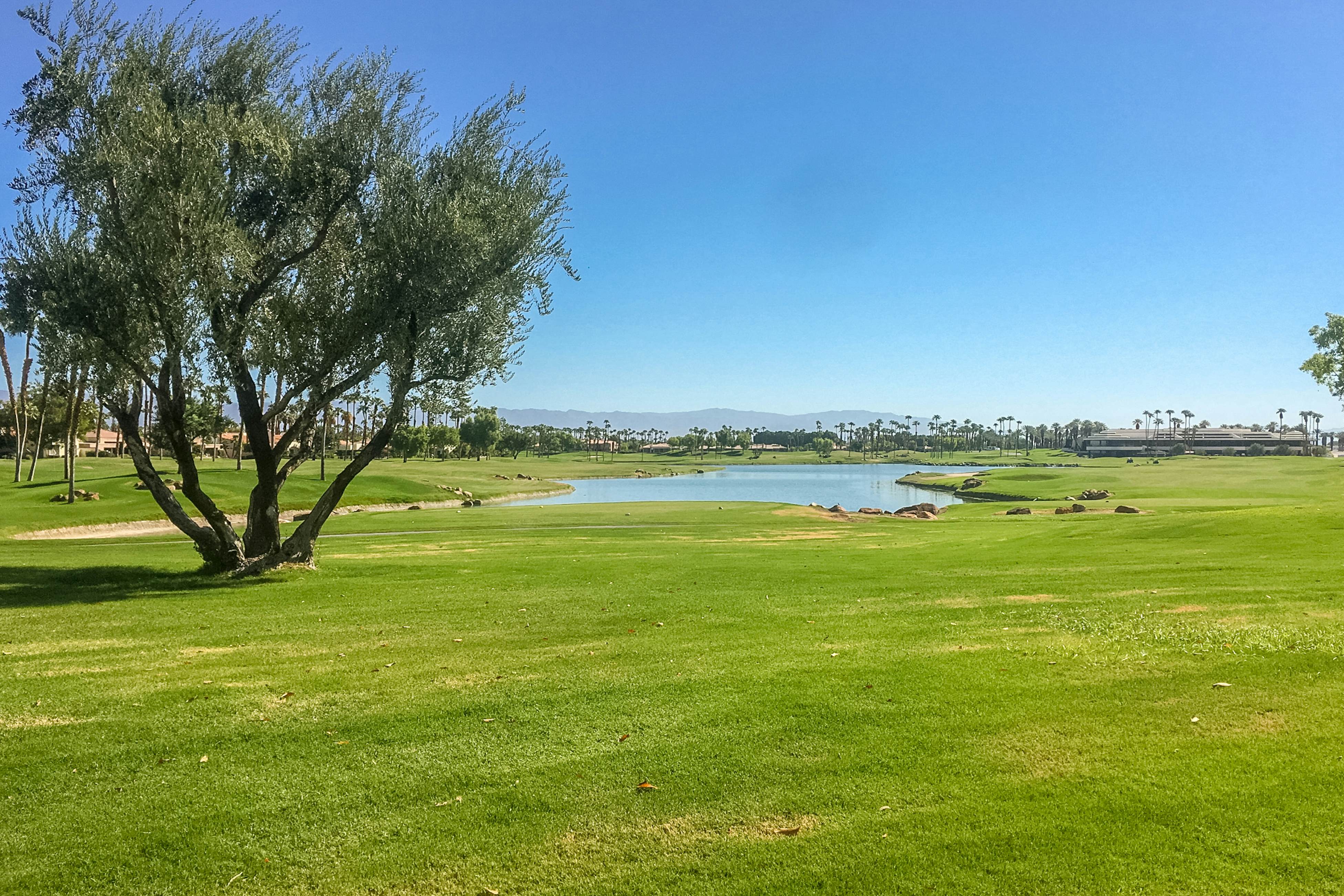 Mountain View Escape