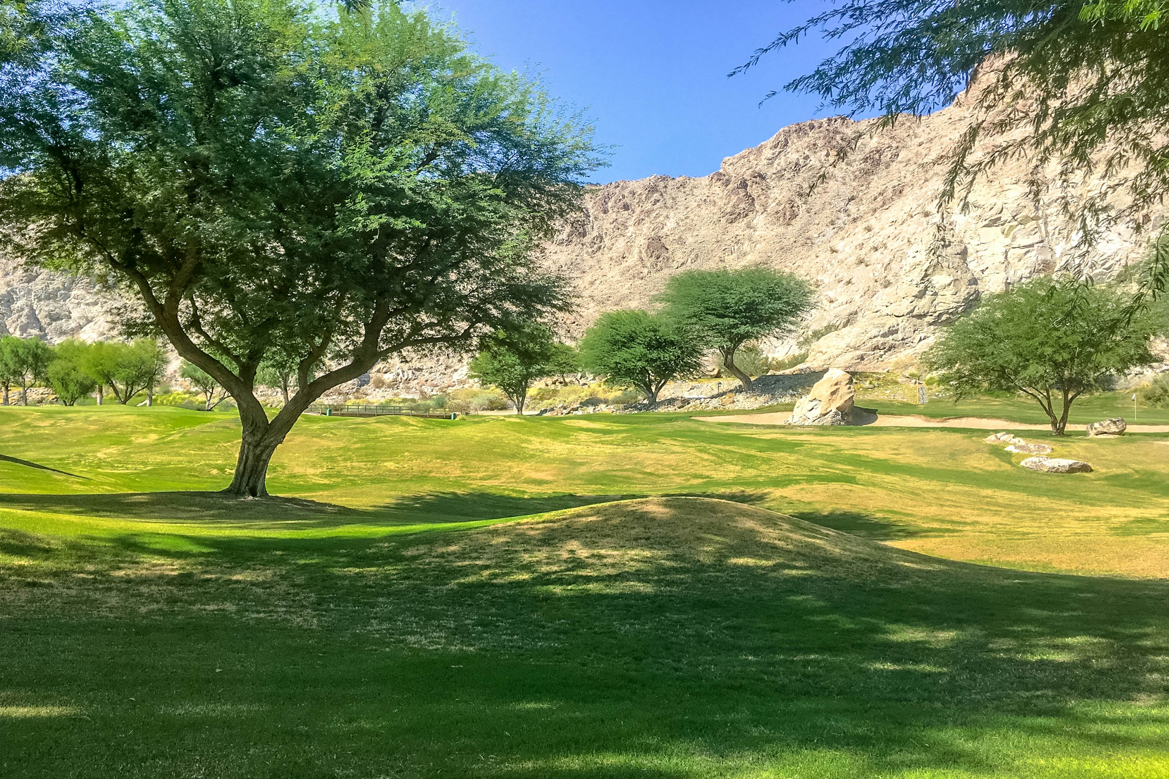 Mountain View Escape