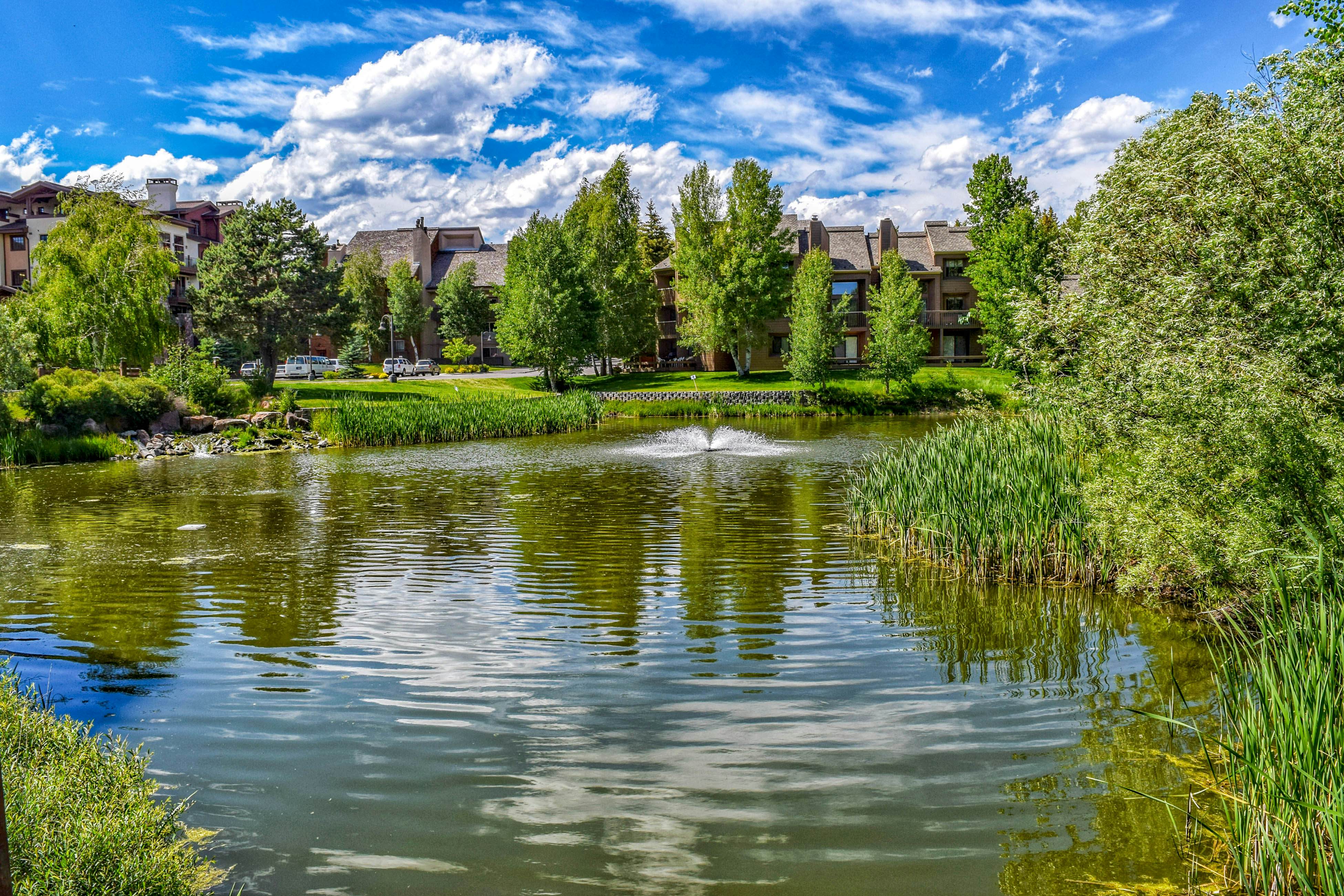 Elkhorn Springs Retreat