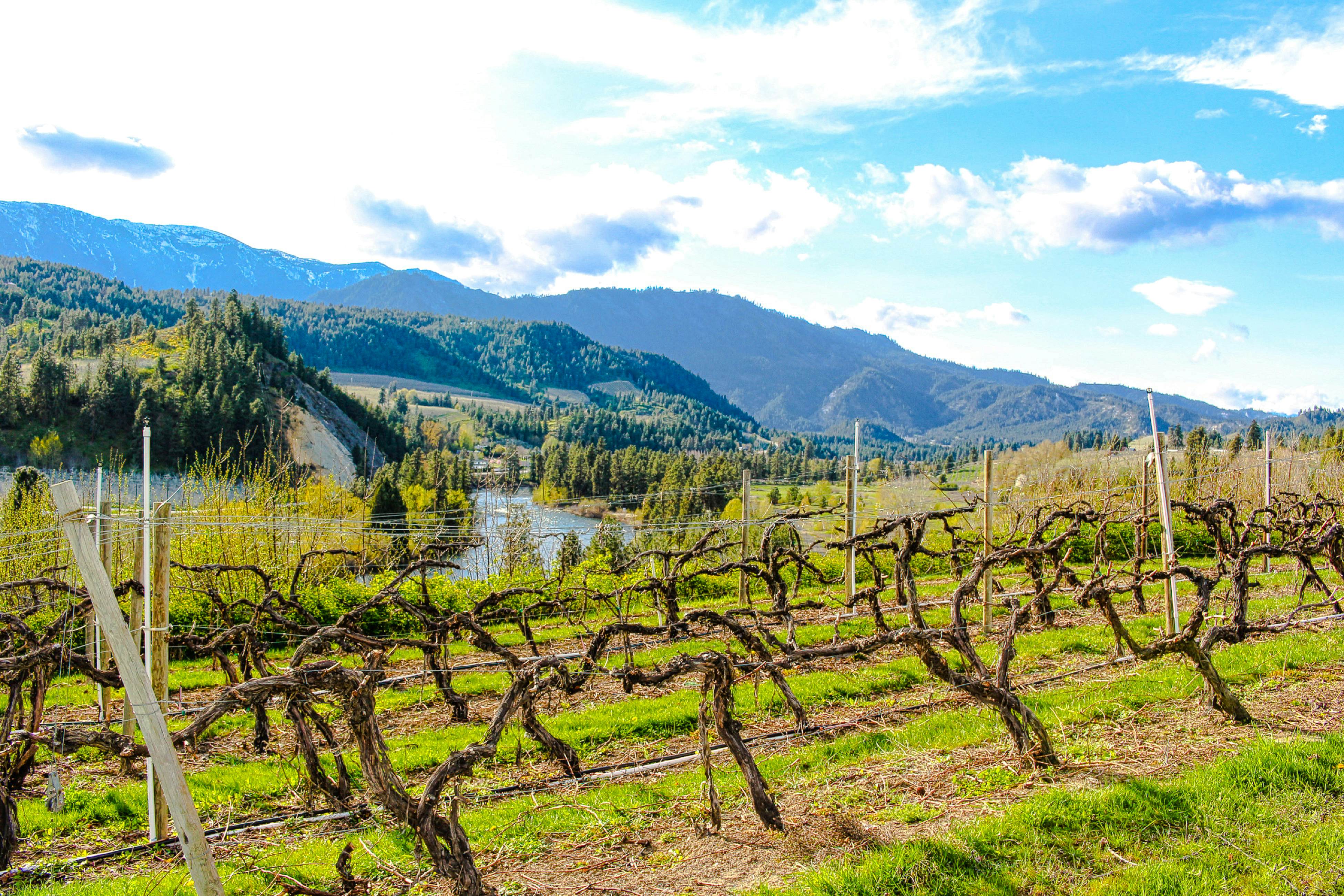 Icicle Village Resort 508 - Alpine Aurora