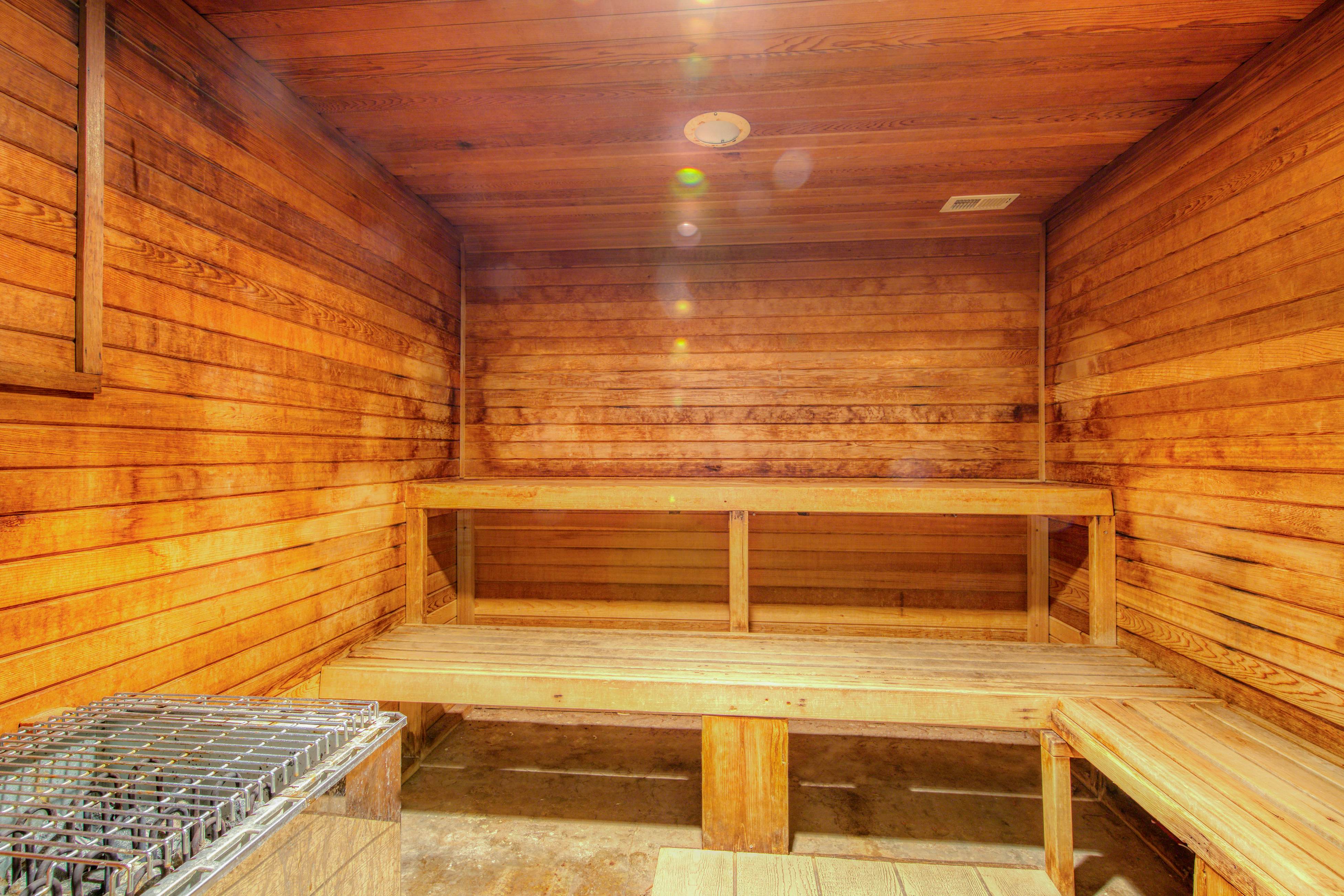 Plantation Palms #6411