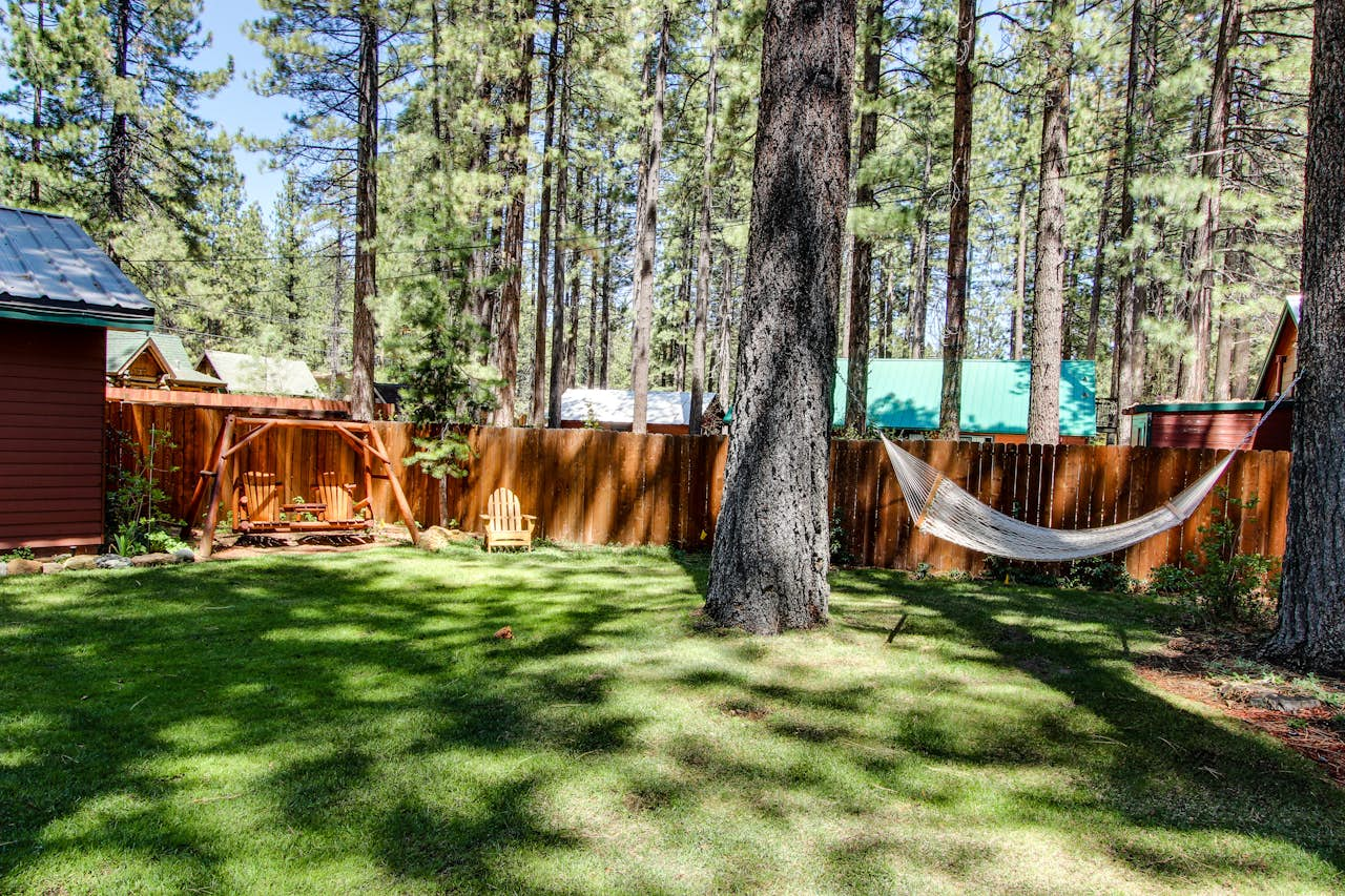 Spruce Grove Washoe Cabin | 2 BD Vacation Rental in South ...