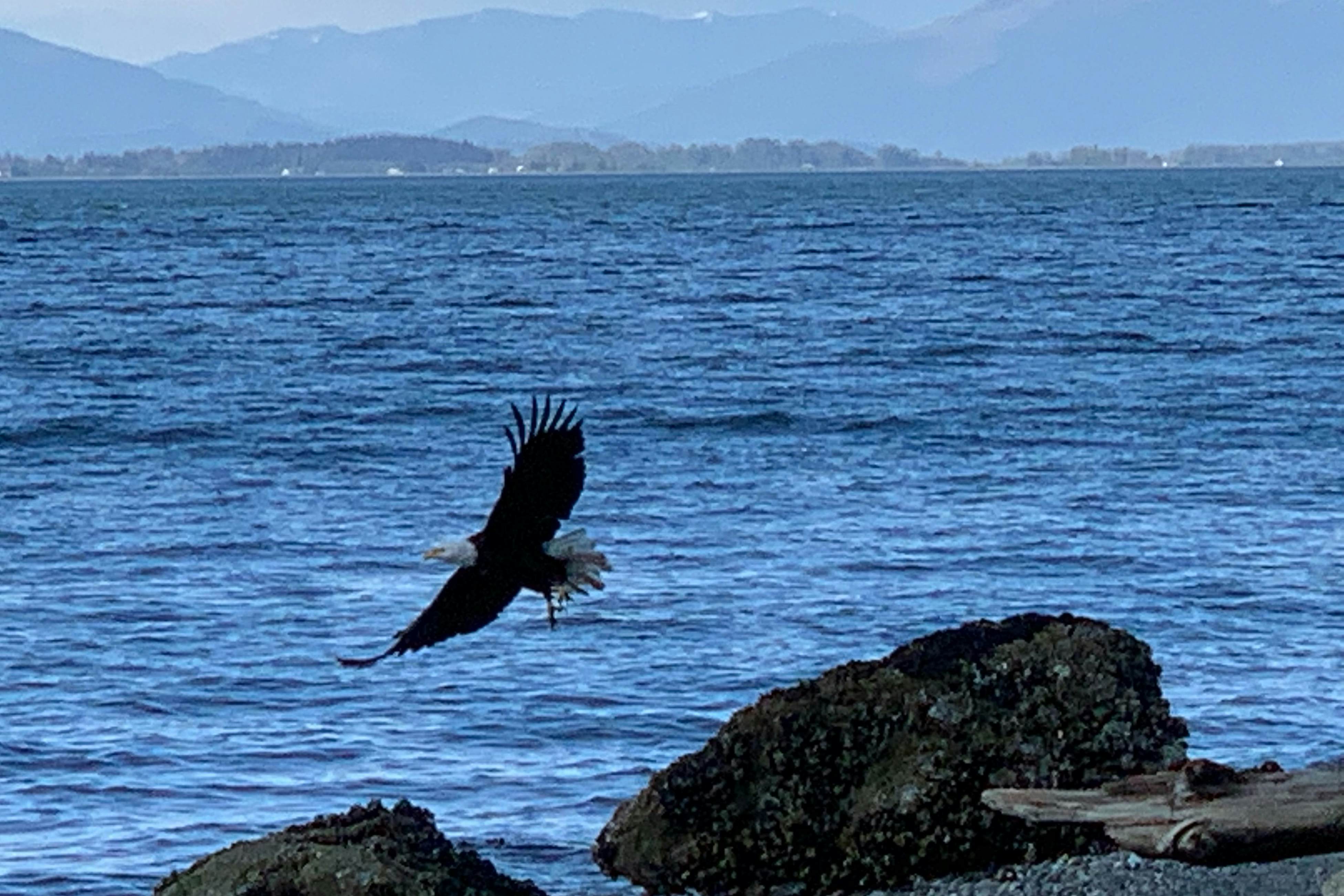 Eagle's Nest Retreat