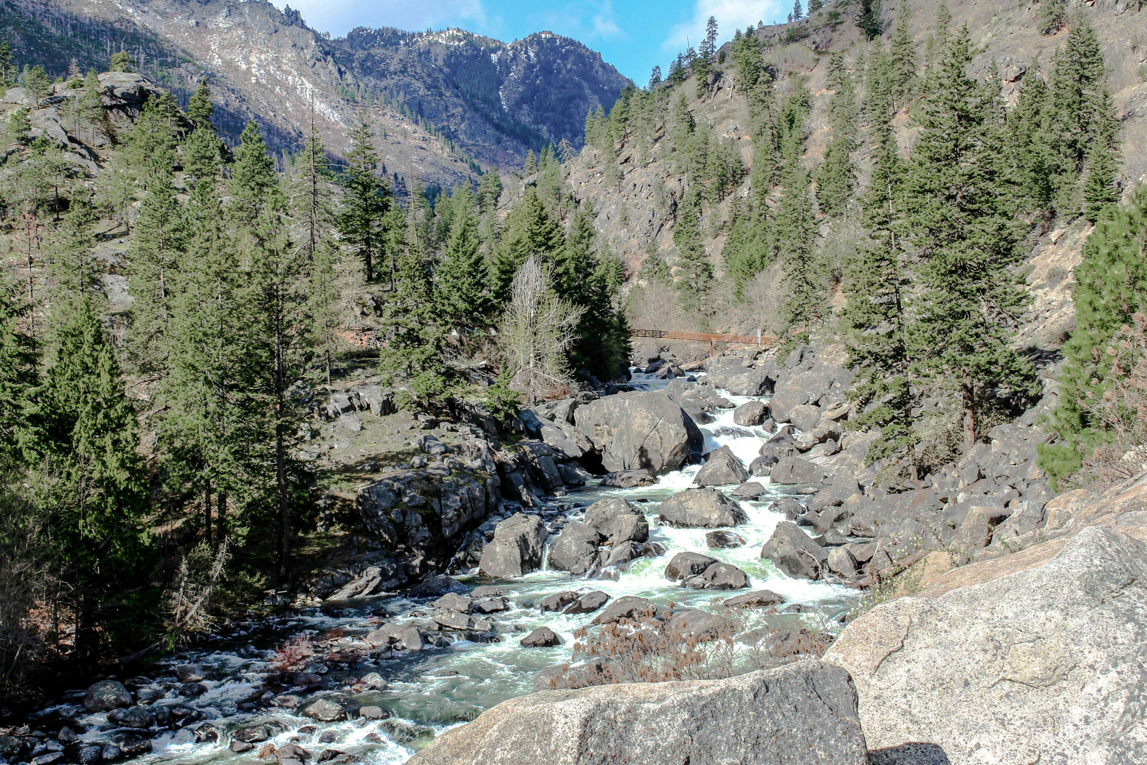 Icicle Village Resort 402 - Juniper Studio