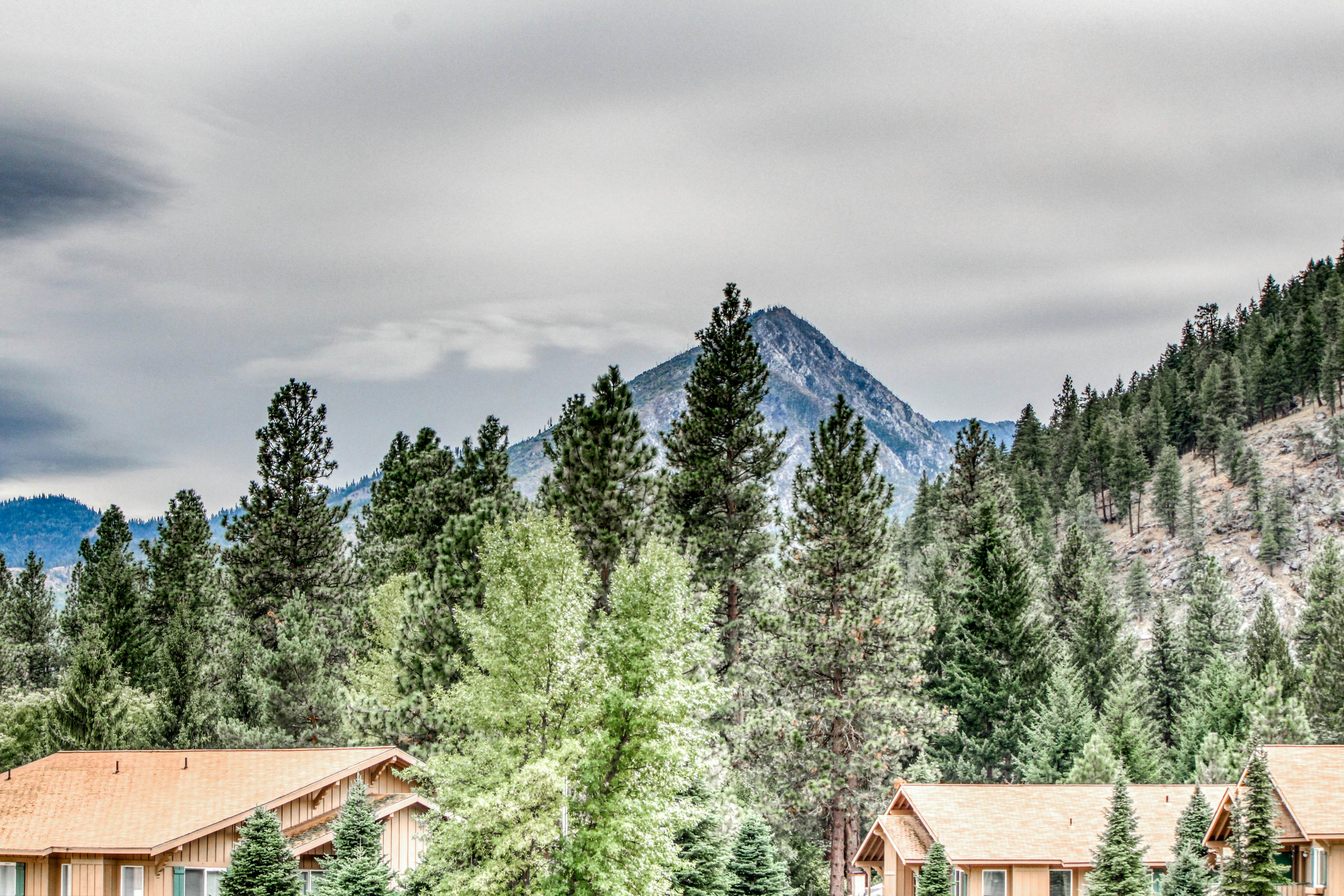 Icicle Village Resort 402 - Juniper Studio